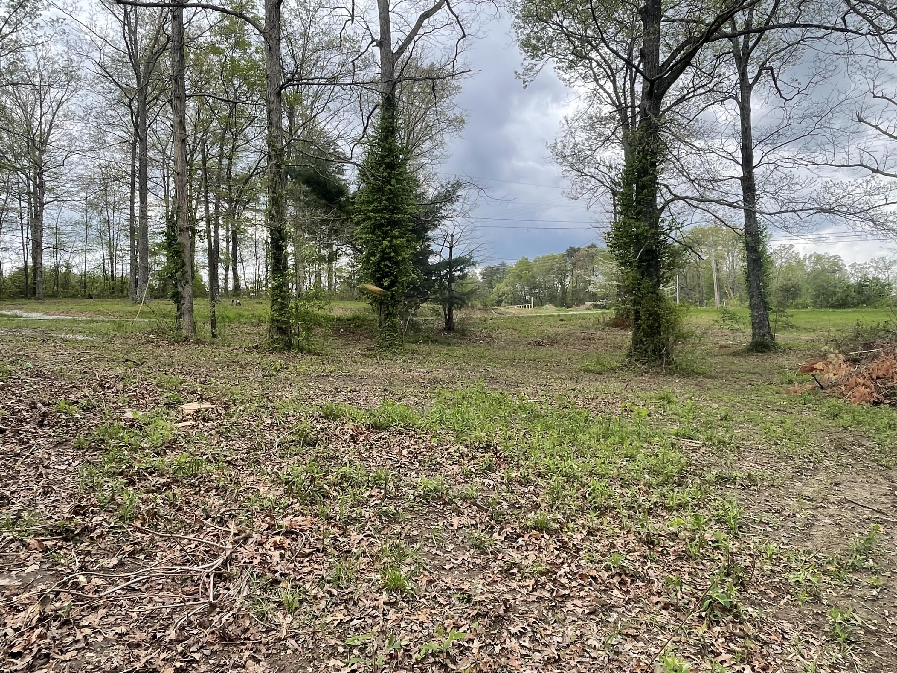 37 Kendra Lane, Pikeville, Tennessee image 16
