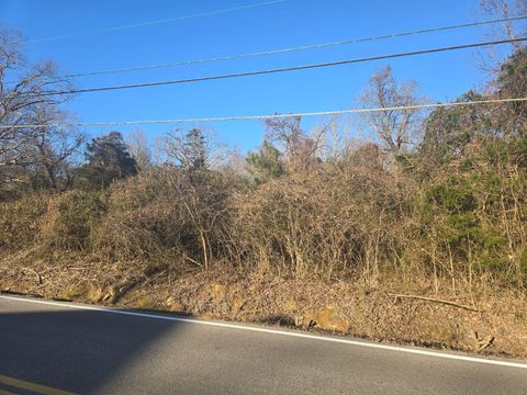Vacant Land For Sale - 815 Retro Hughes Road<br/> Sale Creek, TN 37373