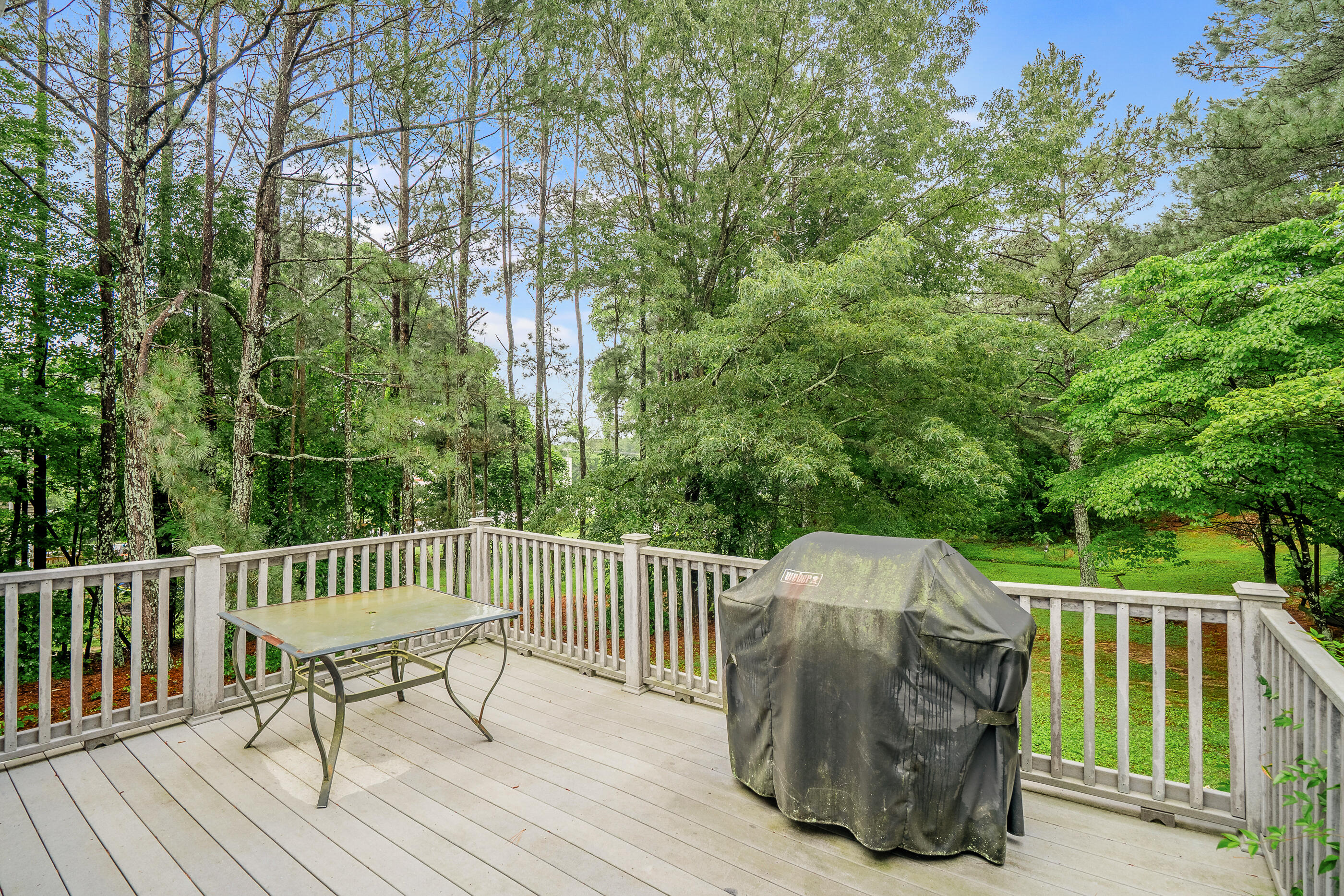103 Paddle Wheel Court, Cohutta, Georgia image 47
