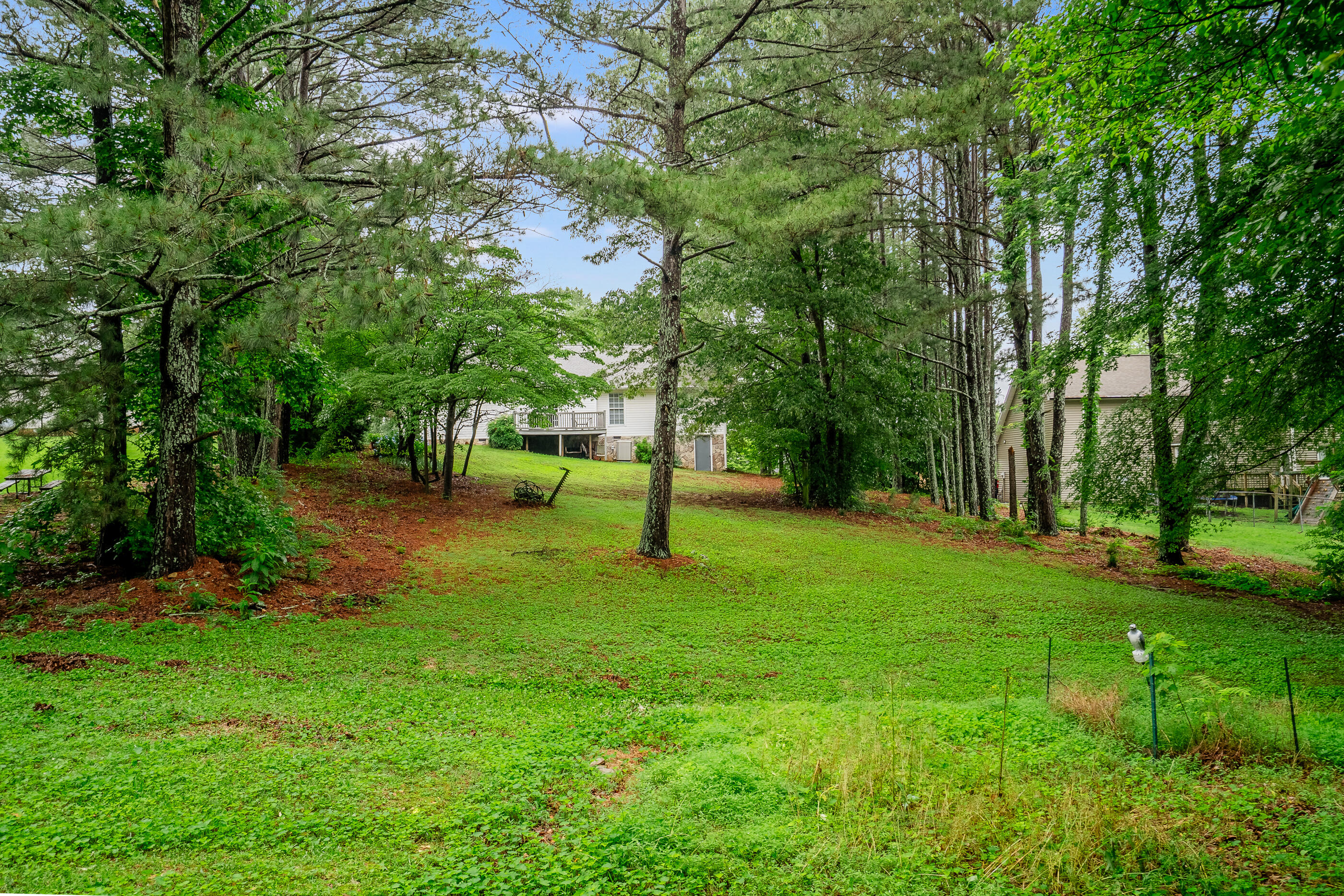 103 Paddle Wheel Court, Cohutta, Georgia image 6