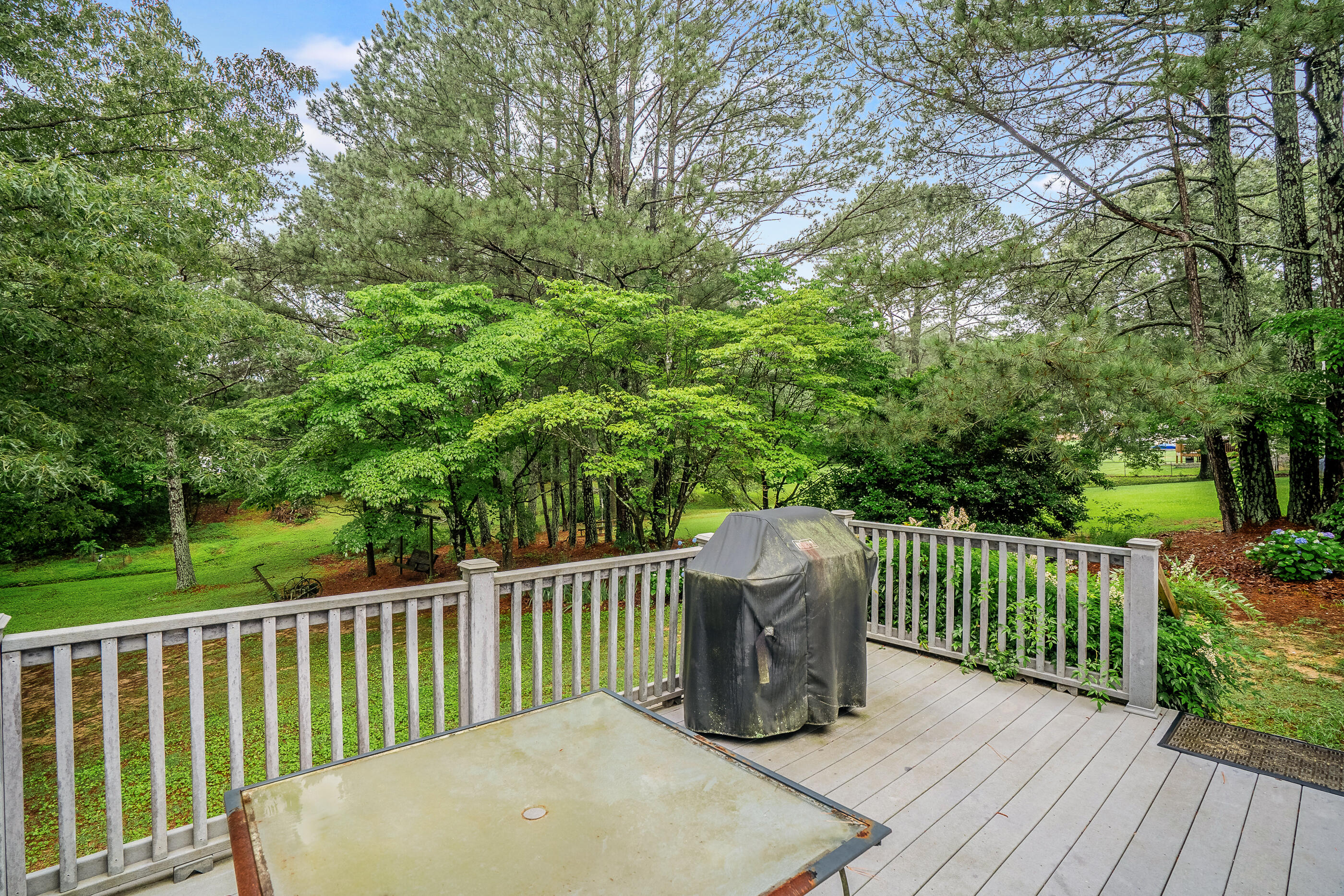 103 Paddle Wheel Court, Cohutta, Georgia image 9