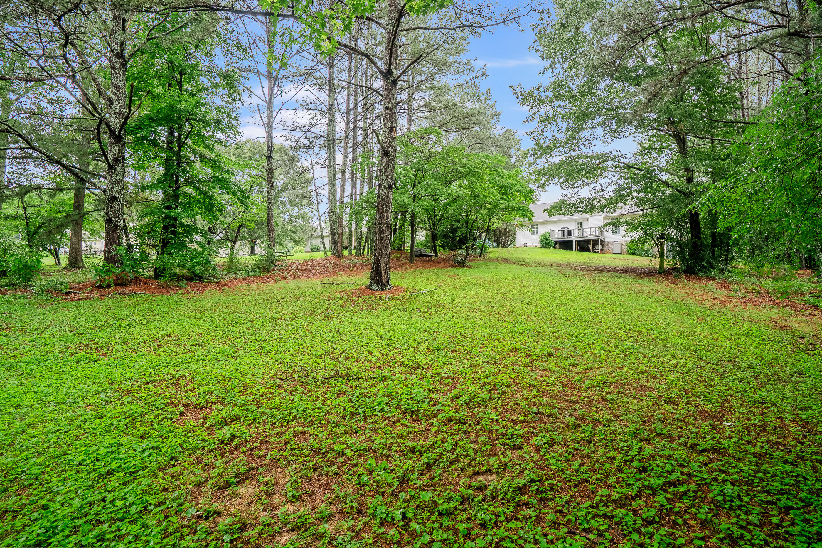 103 Paddle Wheel Court, Cohutta, Georgia image 5