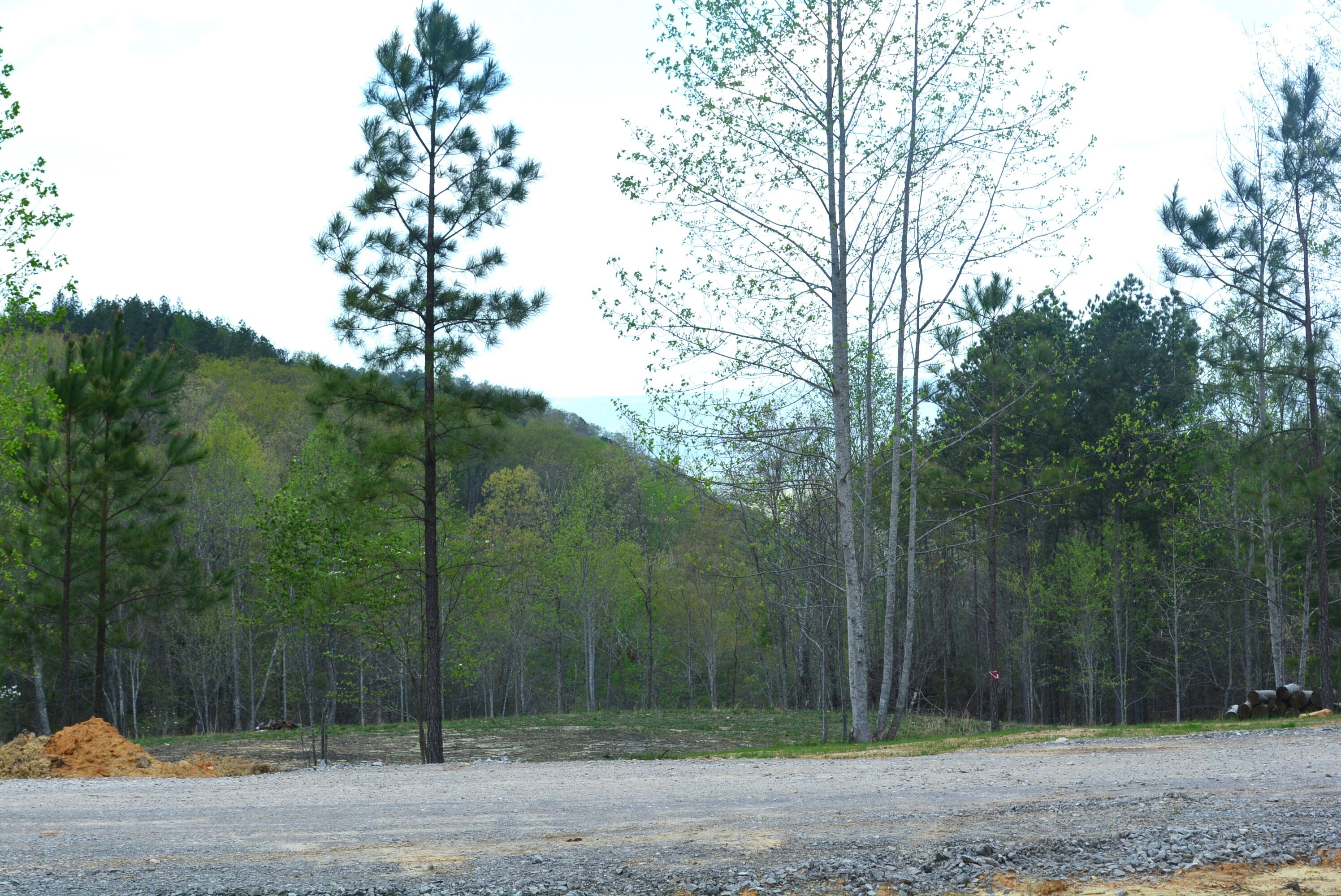 Lot 1099 Birds Eye Way, Guild, Tennessee image 8