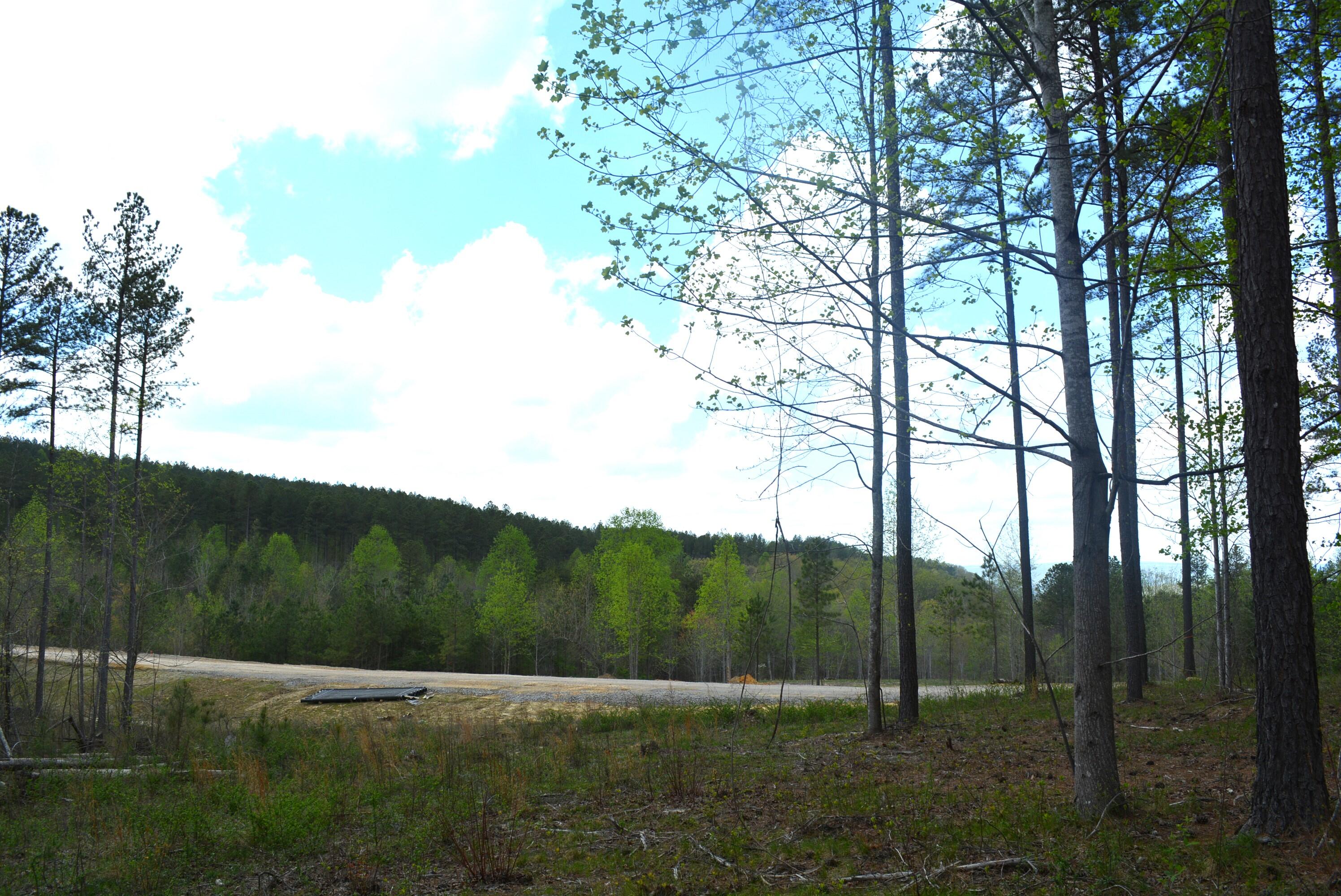 Lot 1099 Birds Eye Way, Guild, Tennessee image 9