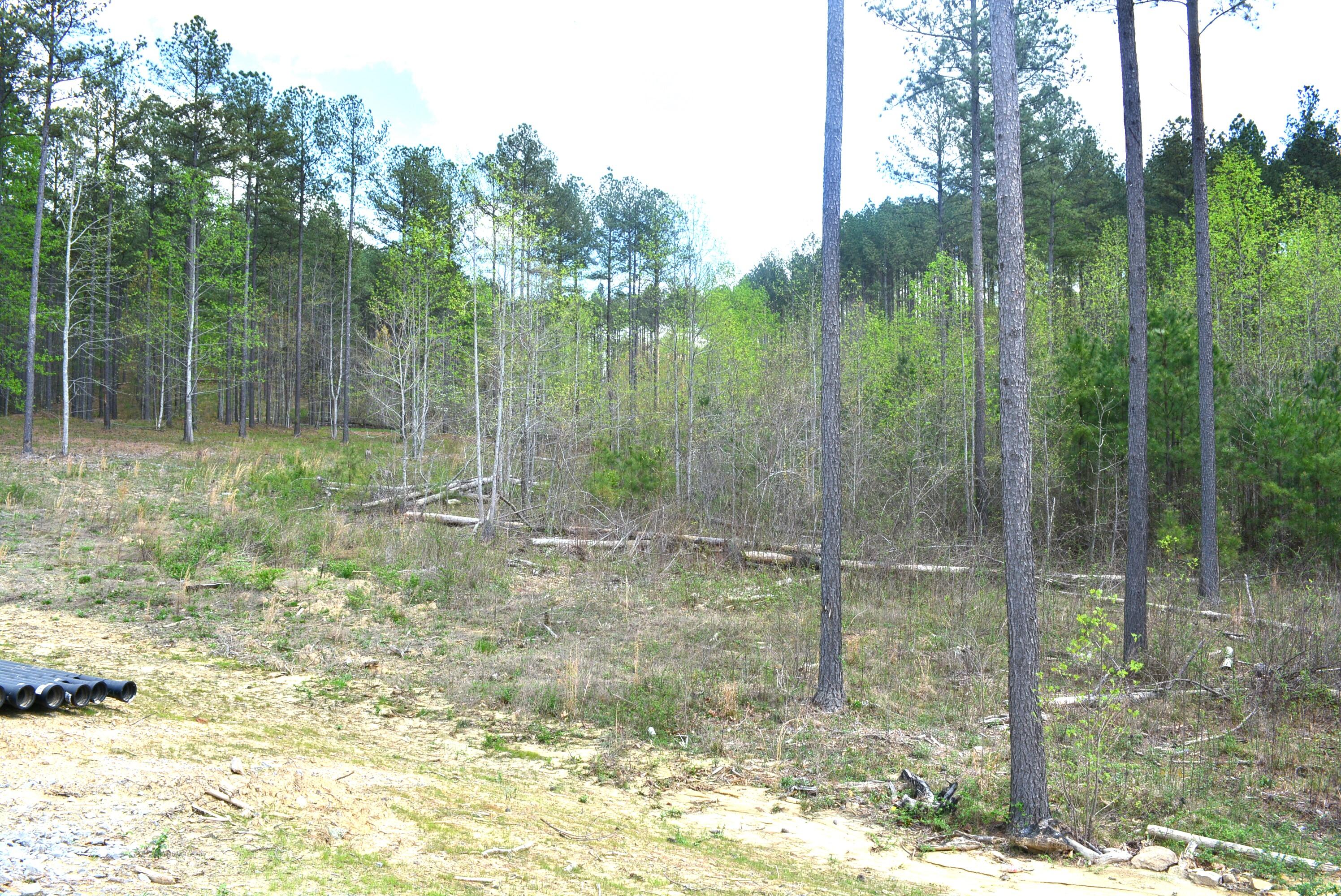 Lot 1099 Birds Eye Way, Guild, Tennessee image 20