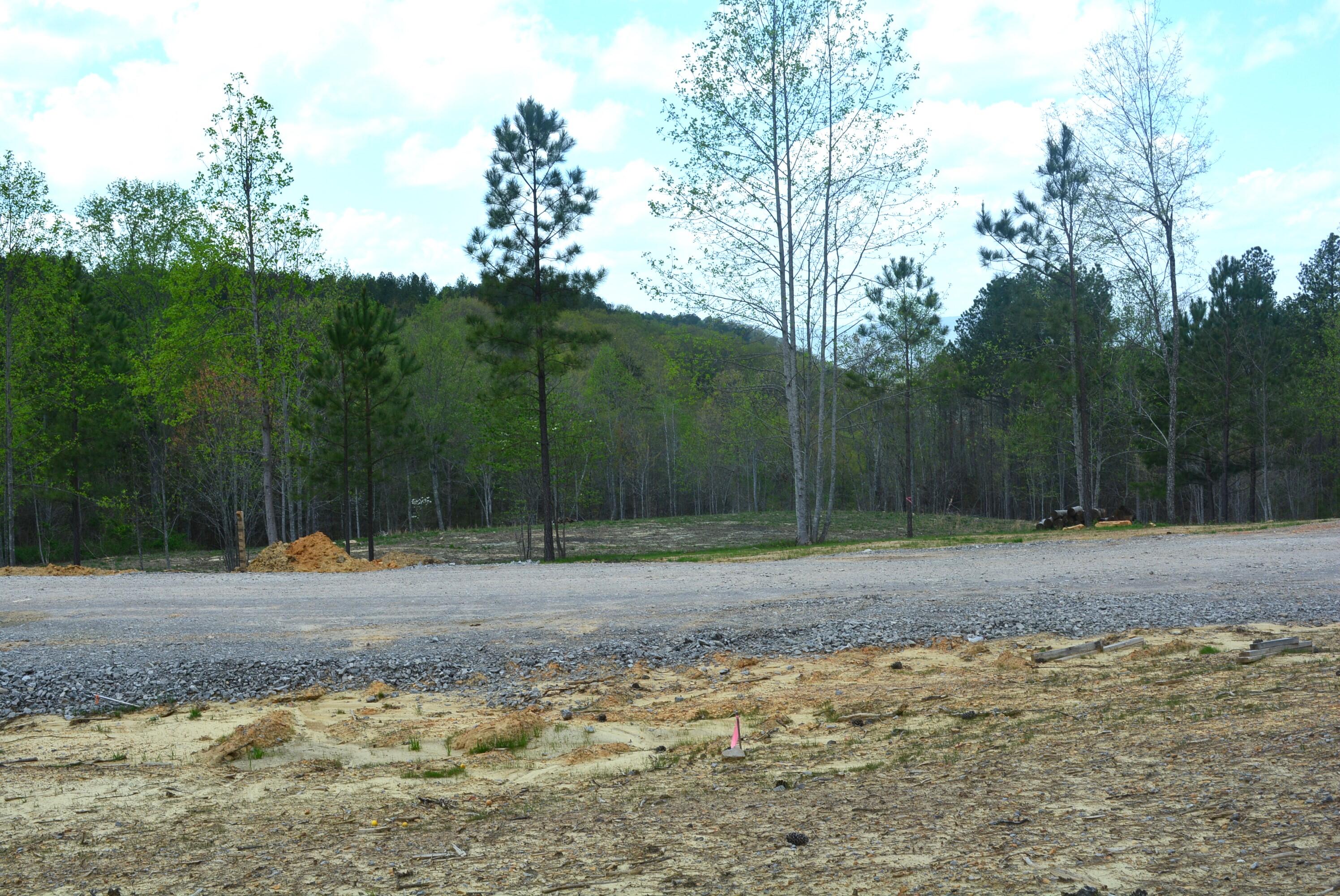 Lot 1099 Birds Eye Way, Guild, Tennessee image 7