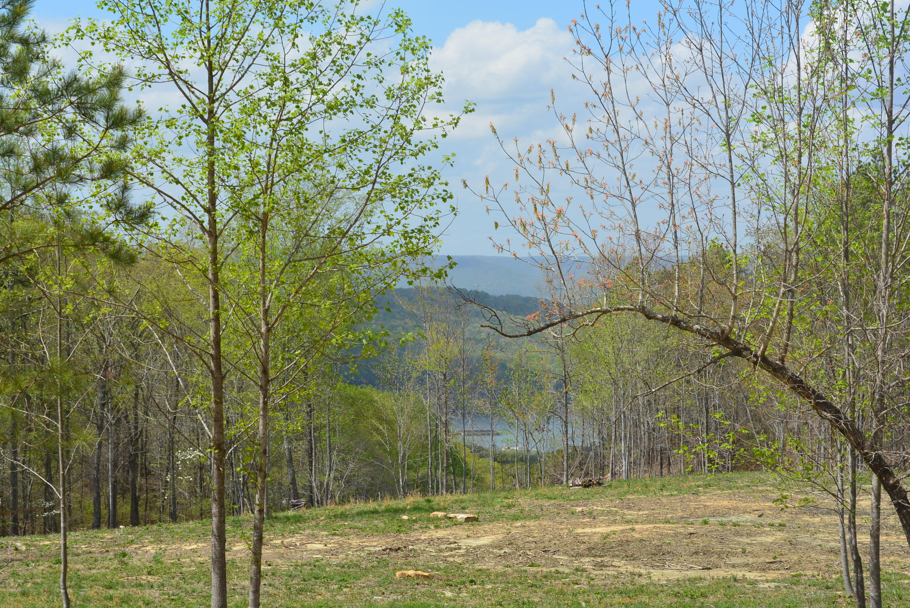 Lot 1099 Birds Eye Way, Guild, Tennessee image 17