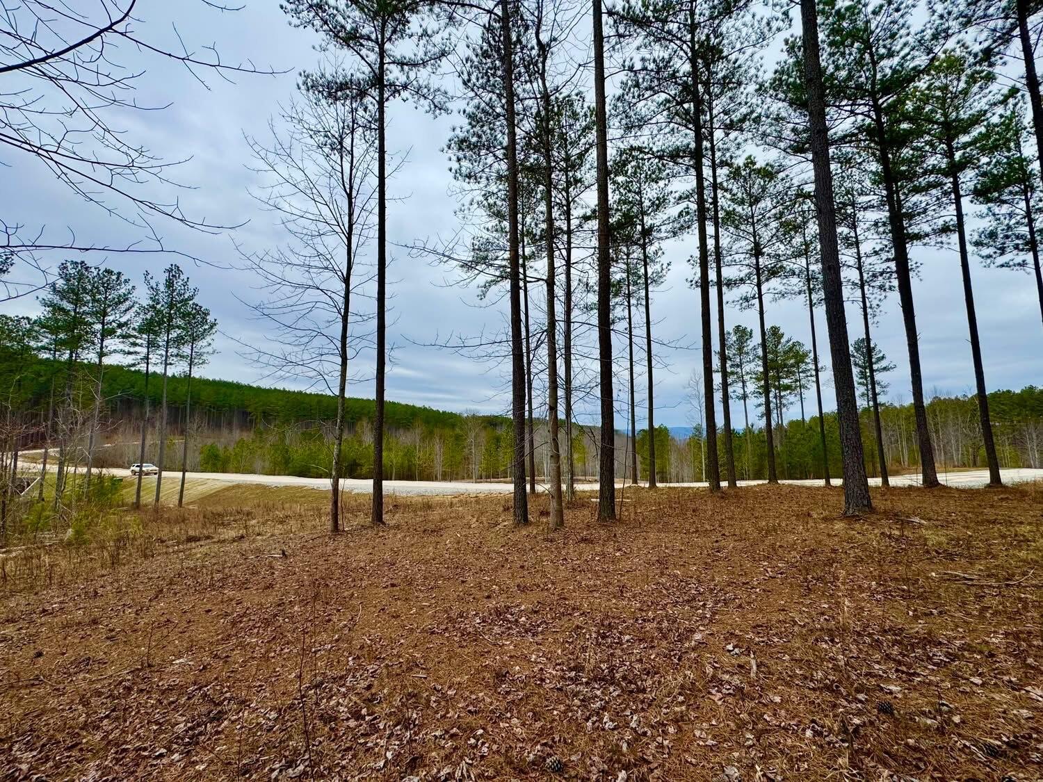 Lot 1099 Birds Eye Way, Guild, Tennessee image 2