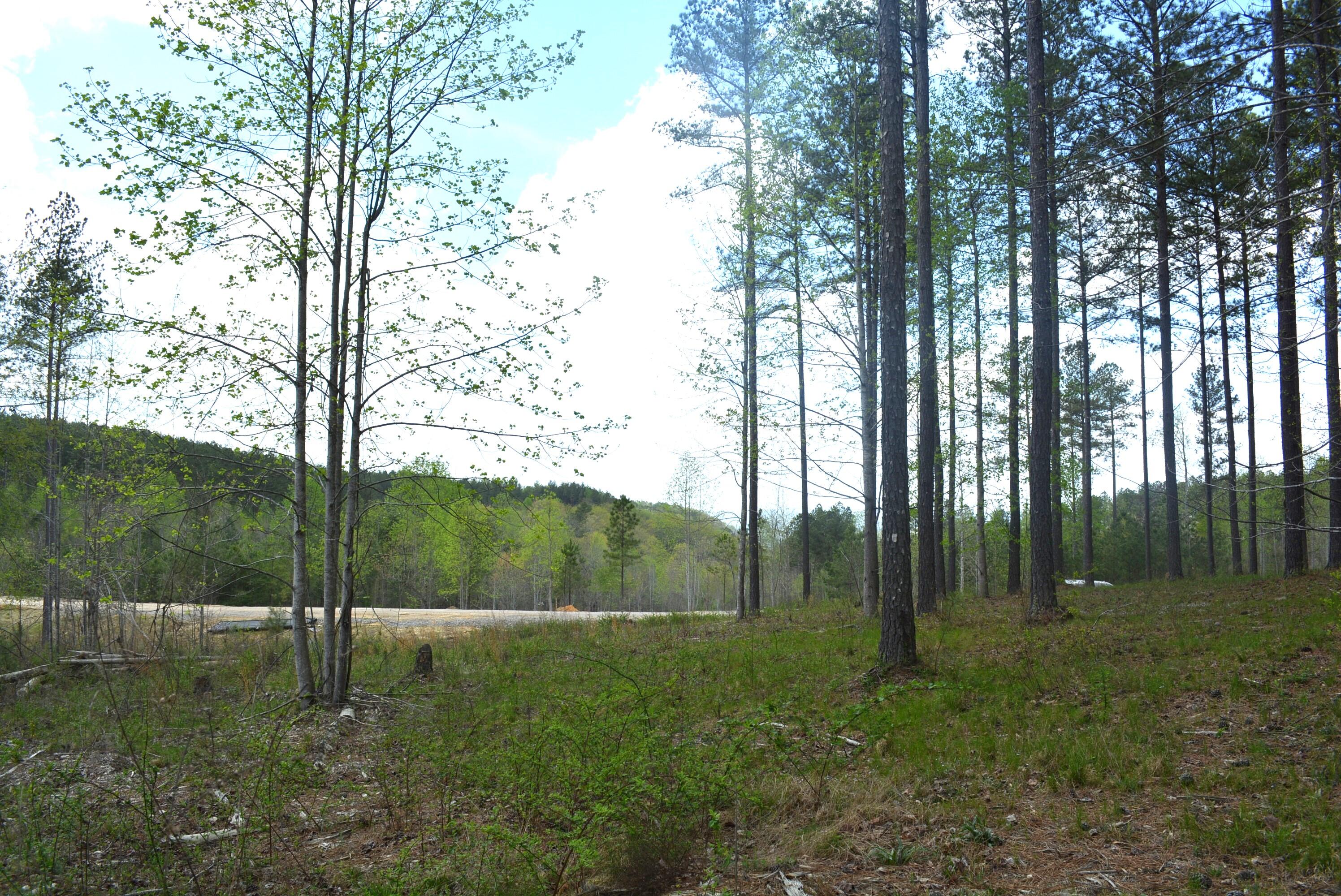 Lot 1099 Birds Eye Way, Guild, Tennessee image 10