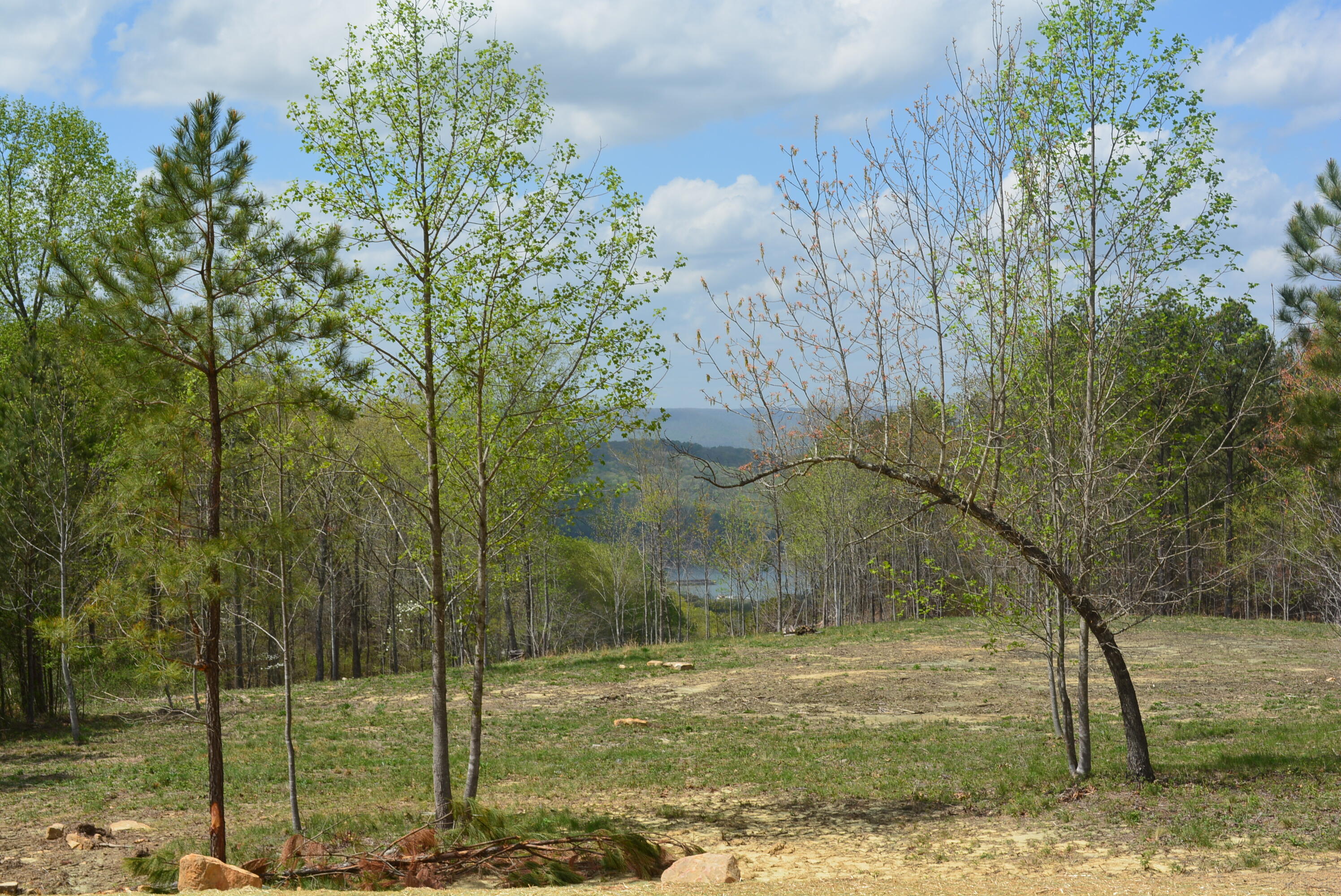 Lot 1099 Birds Eye Way, Guild, Tennessee image 16