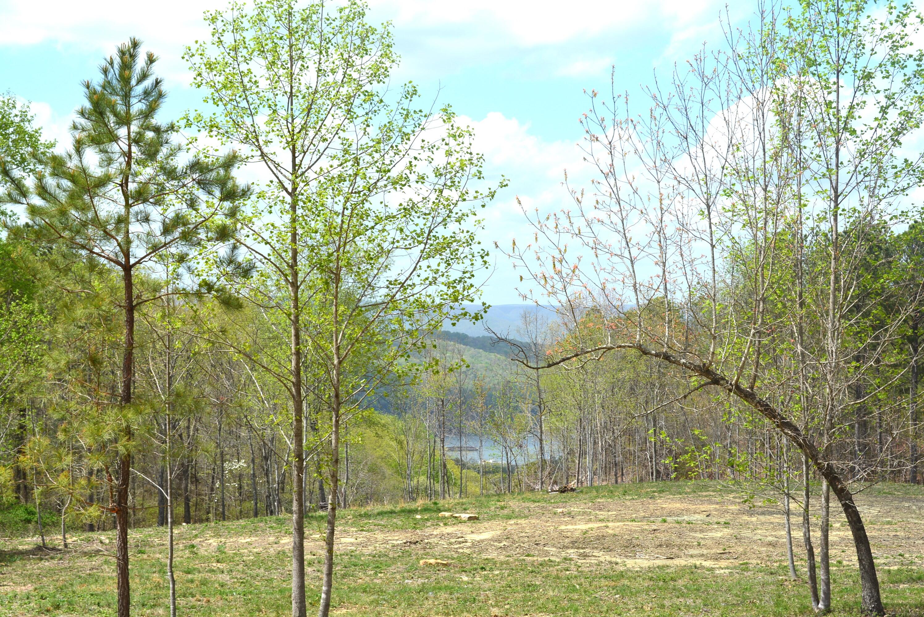 Lot 1099 Birds Eye Way, Guild, Tennessee image 15