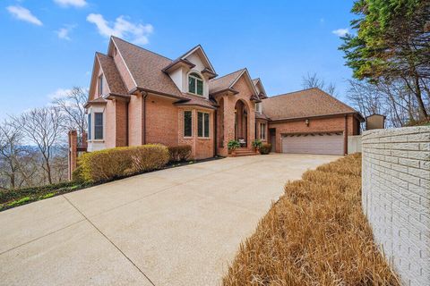 Photo of 9954 Frost Ridge Drive, Ooltewah, TN 37363 (MLS # 1529768)