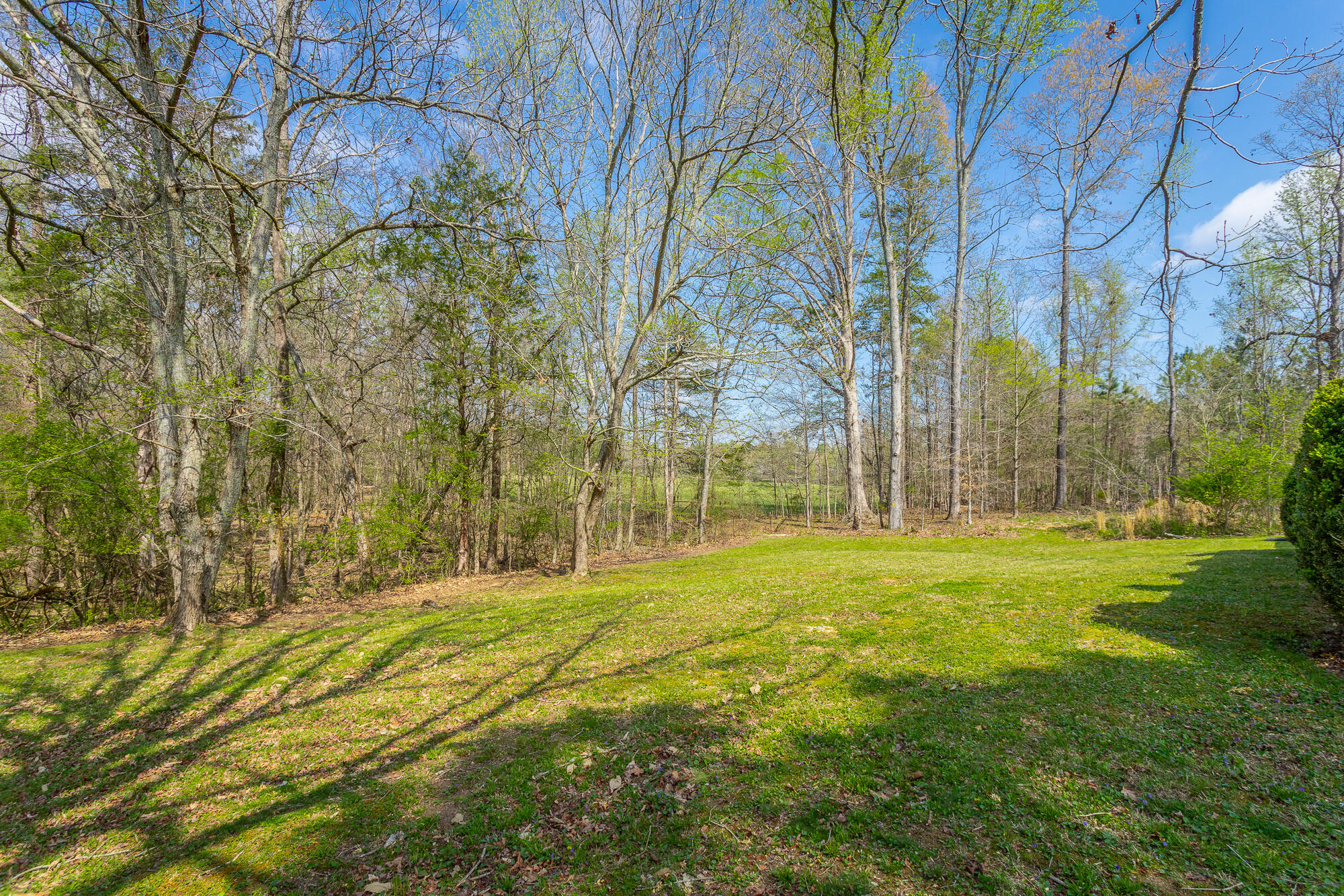 245 New Murraytown Road, Cleveland, Tennessee image 4