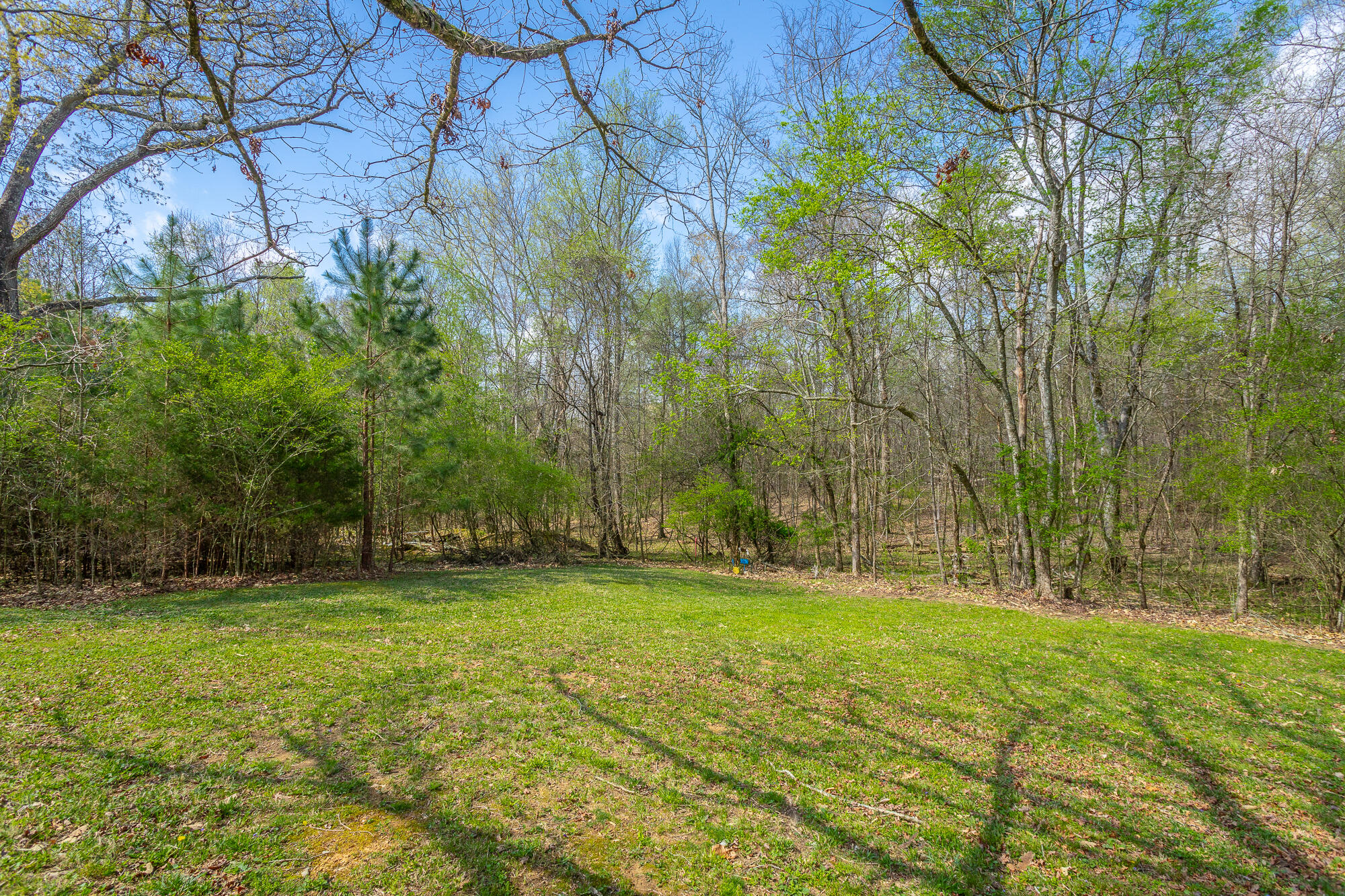 245 New Murraytown Road, Cleveland, Tennessee image 21