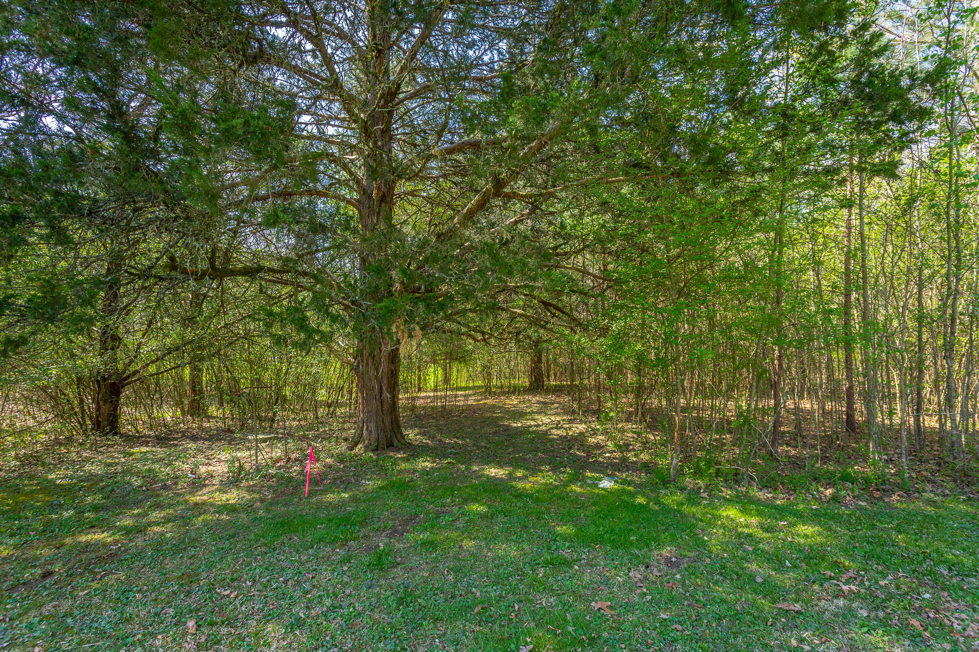 245 New Murraytown Road, Cleveland, Tennessee image 22