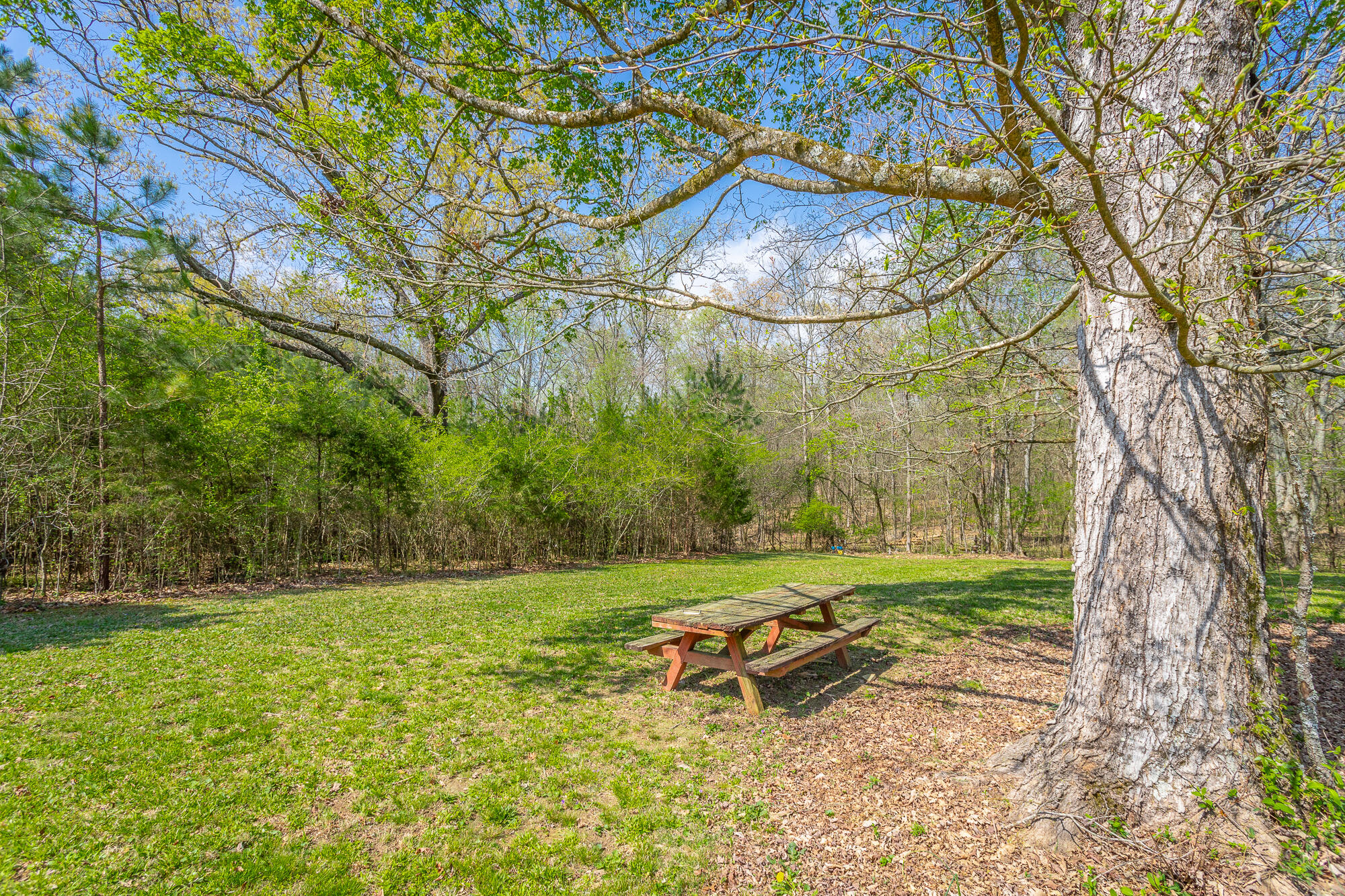 245 New Murraytown Road, Cleveland, Tennessee image 3
