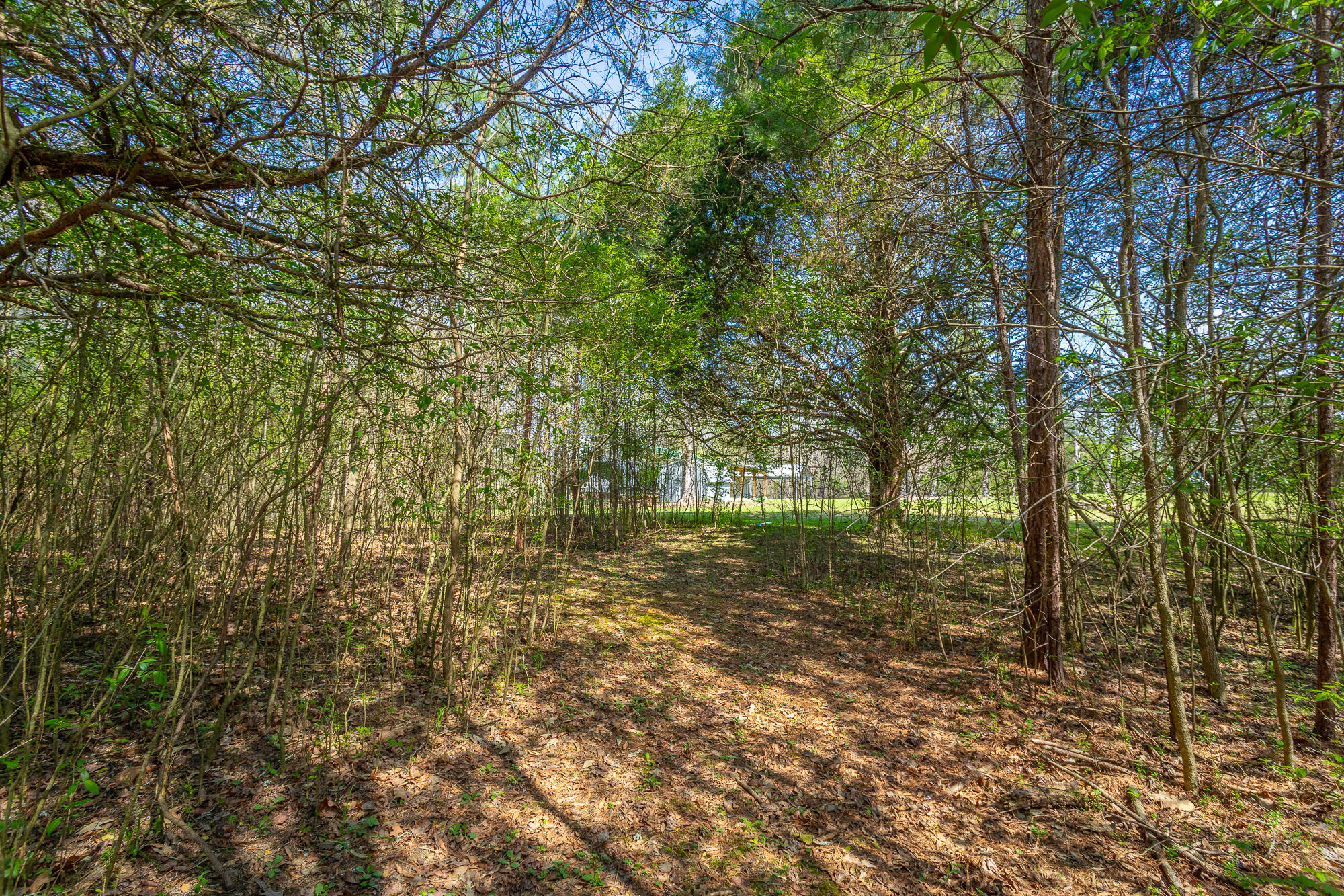 245 New Murraytown Road, Cleveland, Tennessee image 24