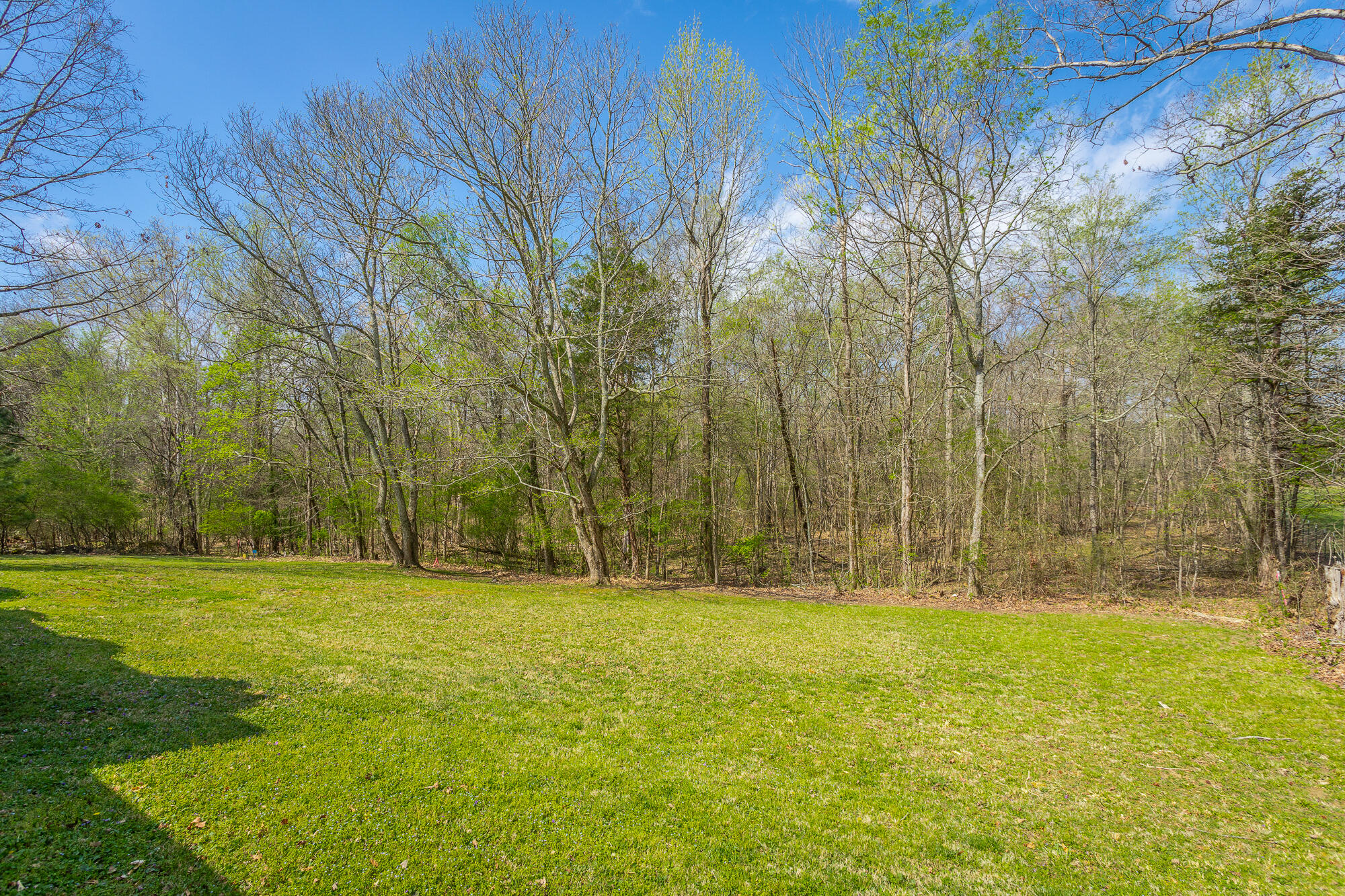 245 New Murraytown Road, Cleveland, Tennessee image 20