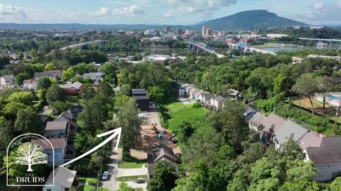 Photo of 401 Druid Lane, Chattanooga, TN 37405 (MLS # 1524798)