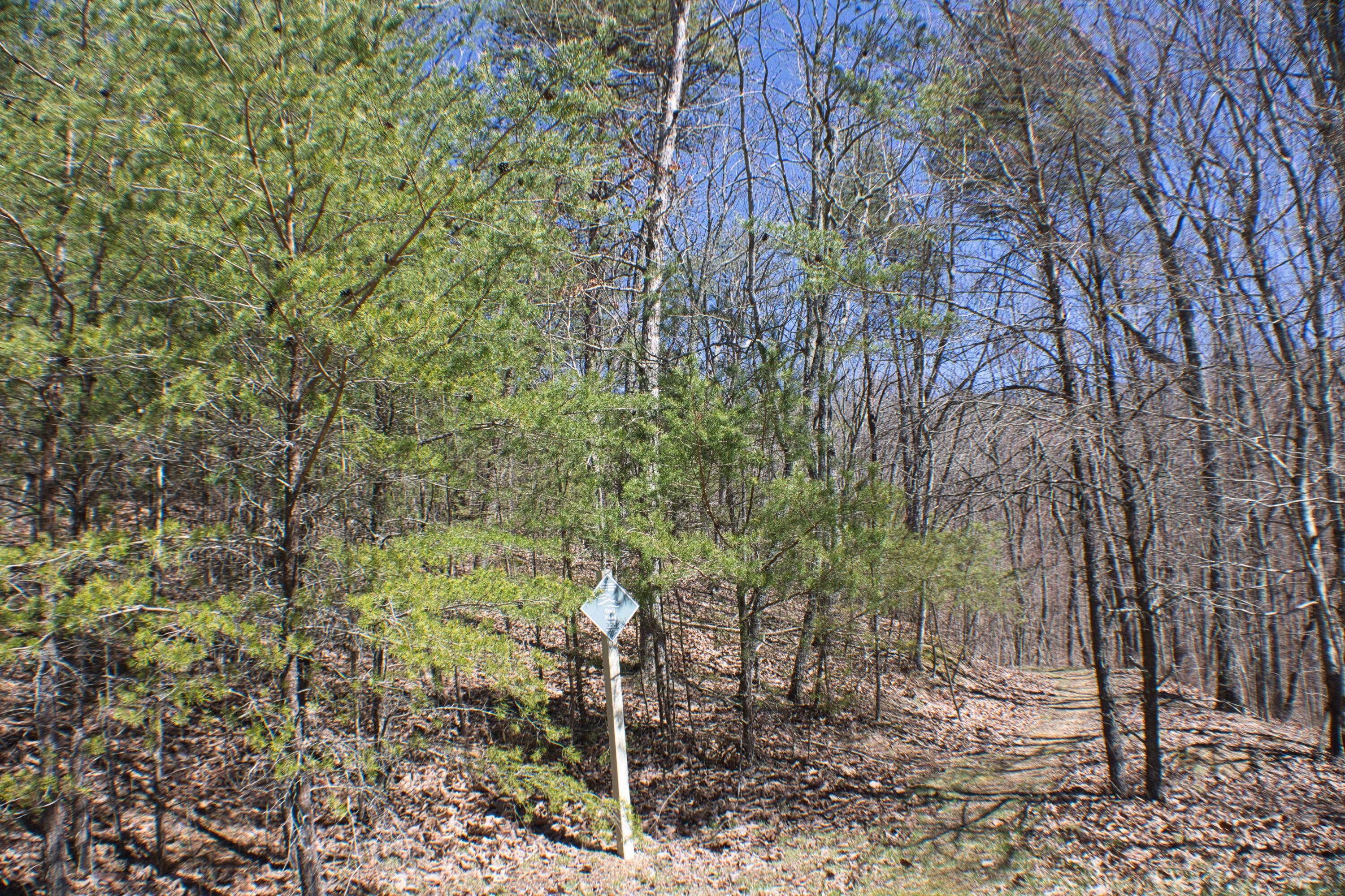 Chester Drive #4, Rising Fawn, Georgia image 20