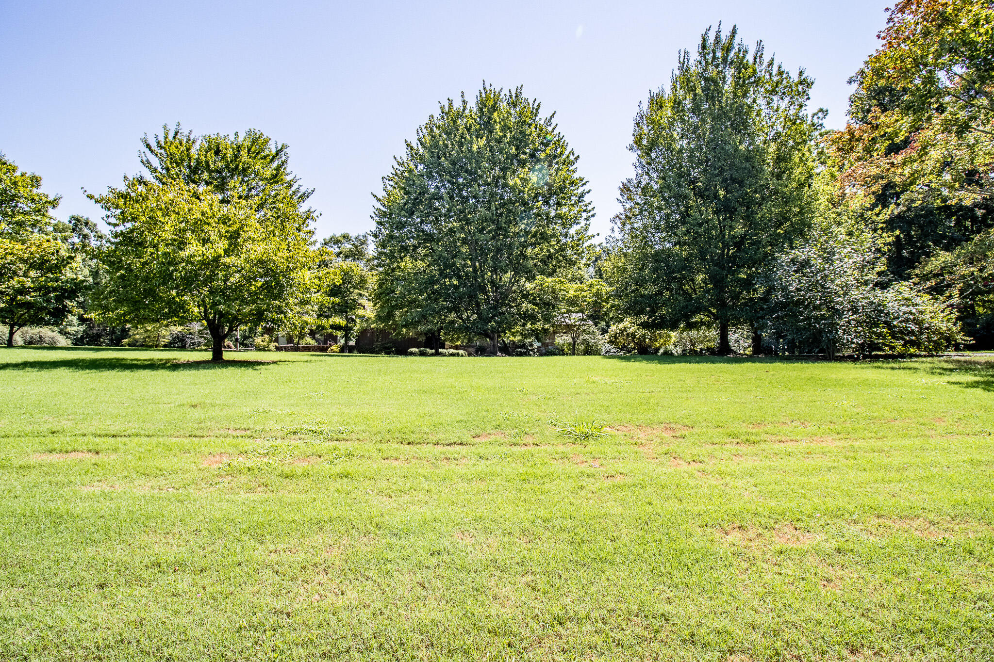 4202 Loftwood Drive, Cohutta, Georgia image 20