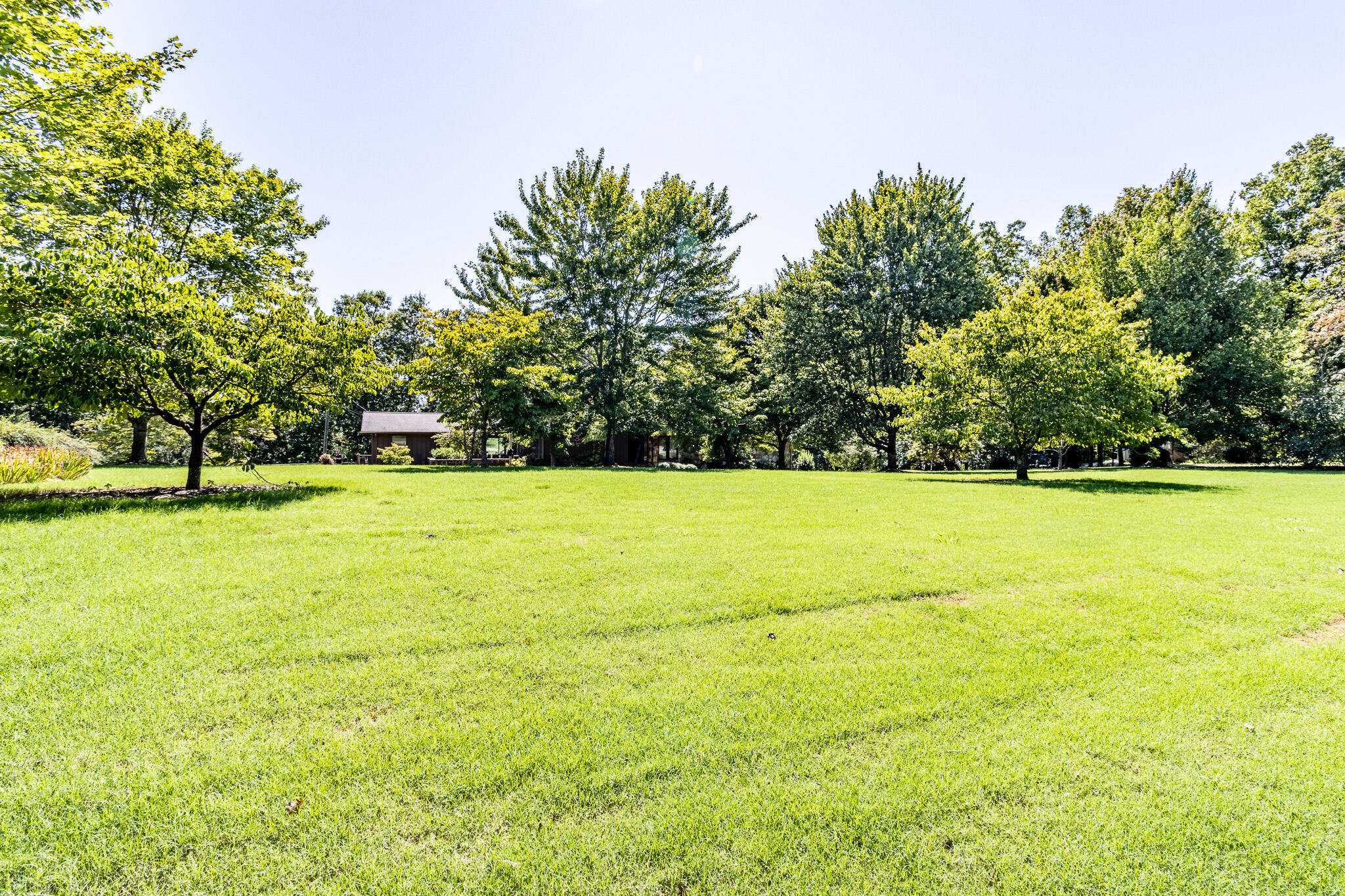 4202 Loftwood Drive, Cohutta, Georgia image 21