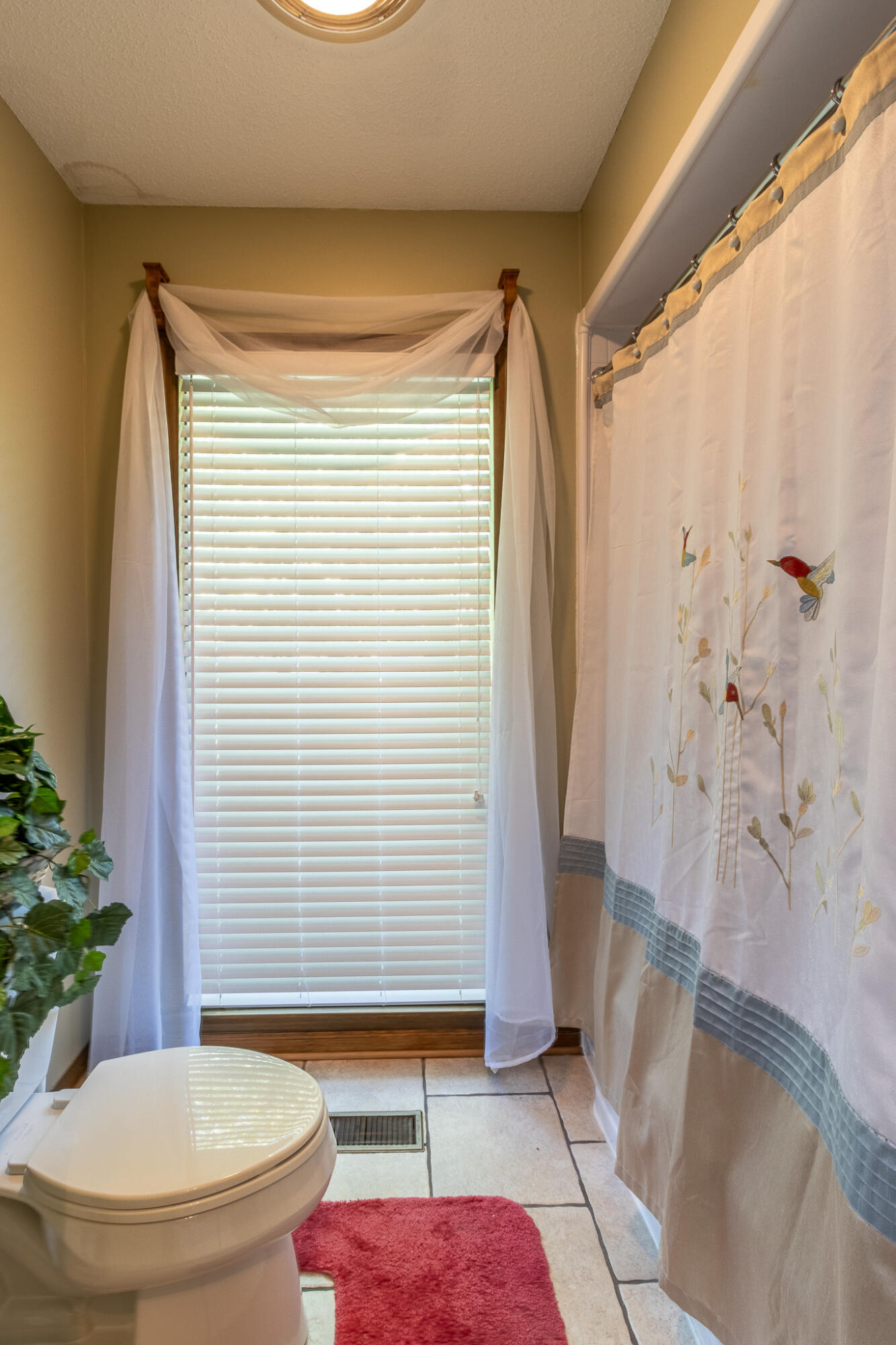 4202 Loftwood Drive, Cohutta, Georgia image 44