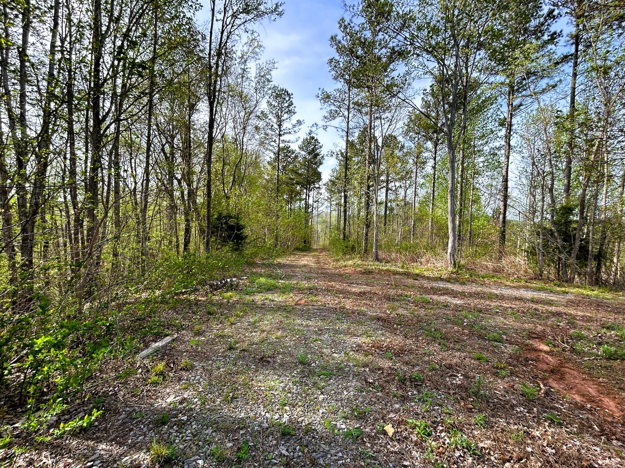 250 County Road 476, Englewood, Tennessee image 22