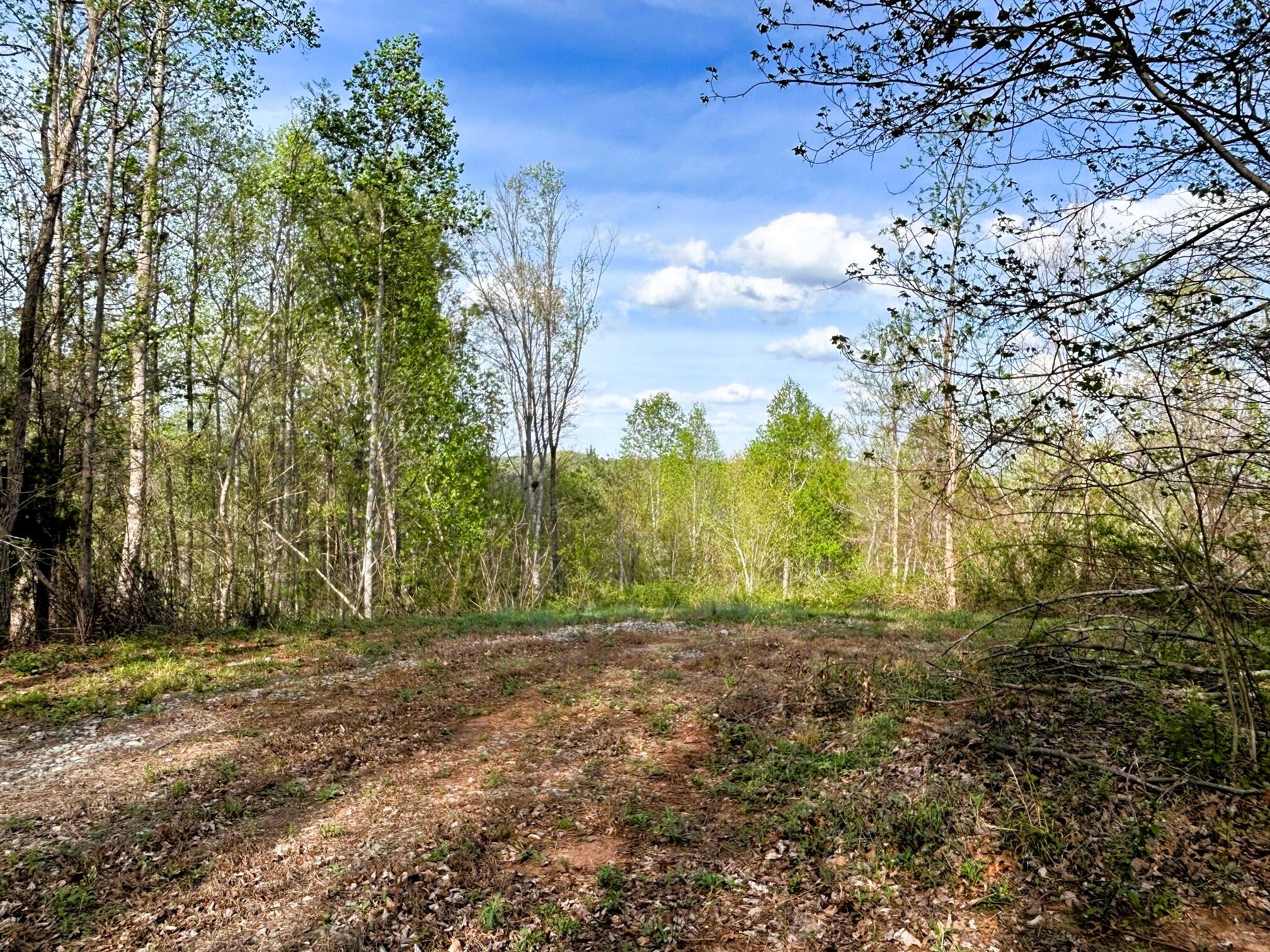 250 County Road 476, Englewood, Tennessee image 21