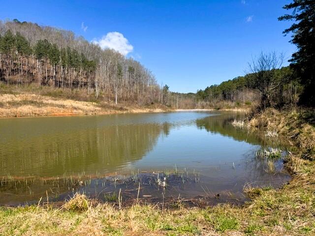 250 County Road 476, Englewood, Tennessee image 35