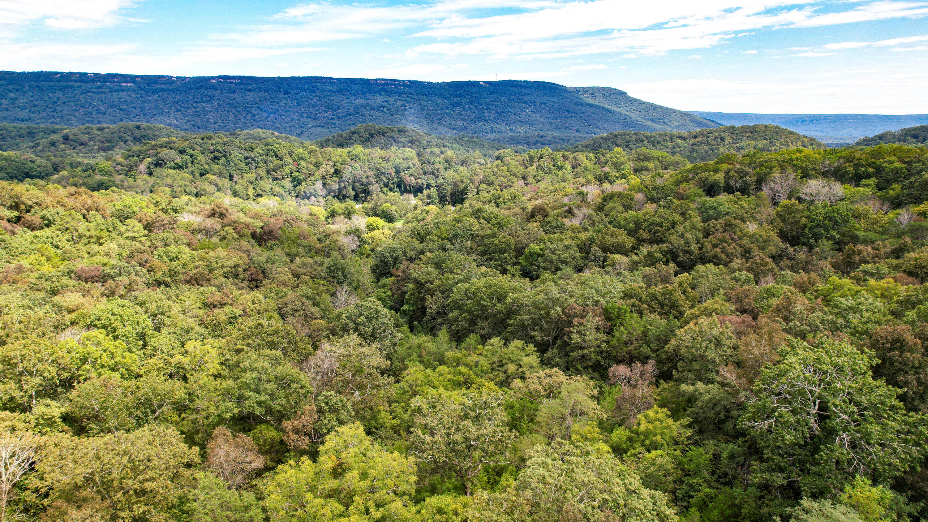 Rising Fawn, Georgia 30738, United States, ,Land,Active,199861