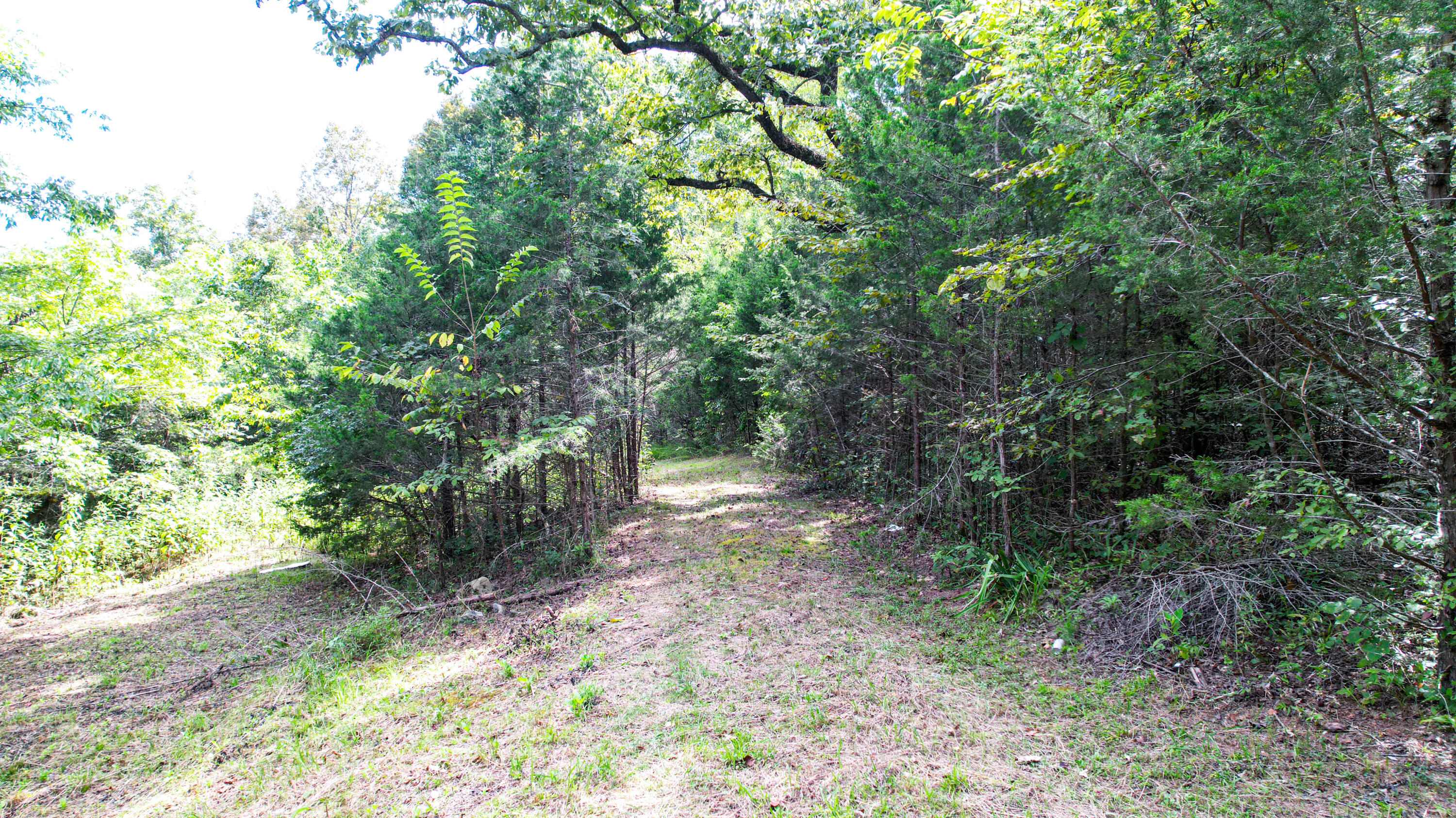 Rising Fawn, Georgia 30738, United States, ,Land,Active,199861