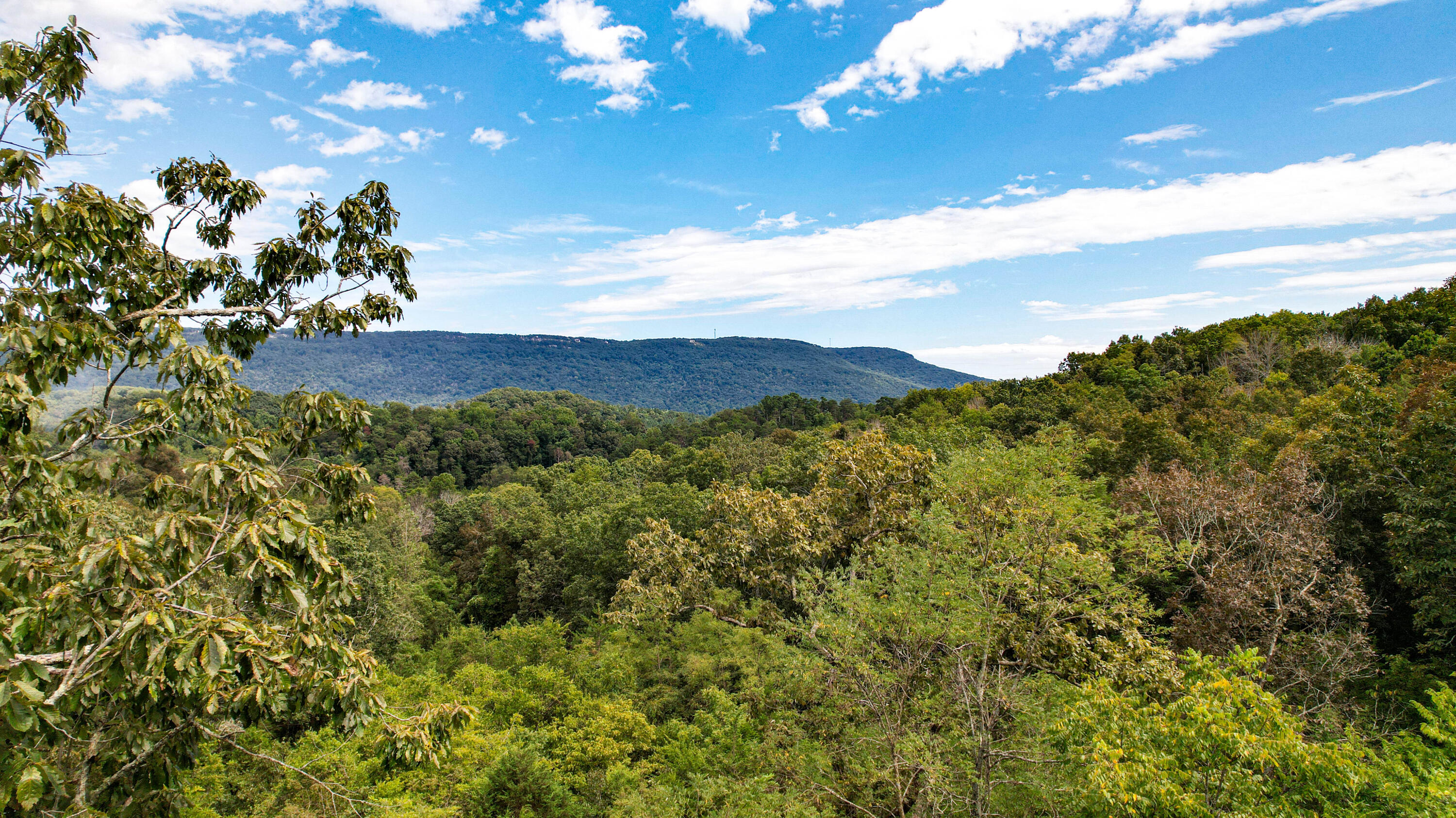 Rising Fawn, Georgia 30738, United States, ,Land,Active,199861