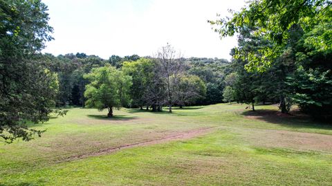 Vacant Land For Sale - 25.09 Acres Byrds Chapel Drive<br/> Rising Fawn, GA 30738