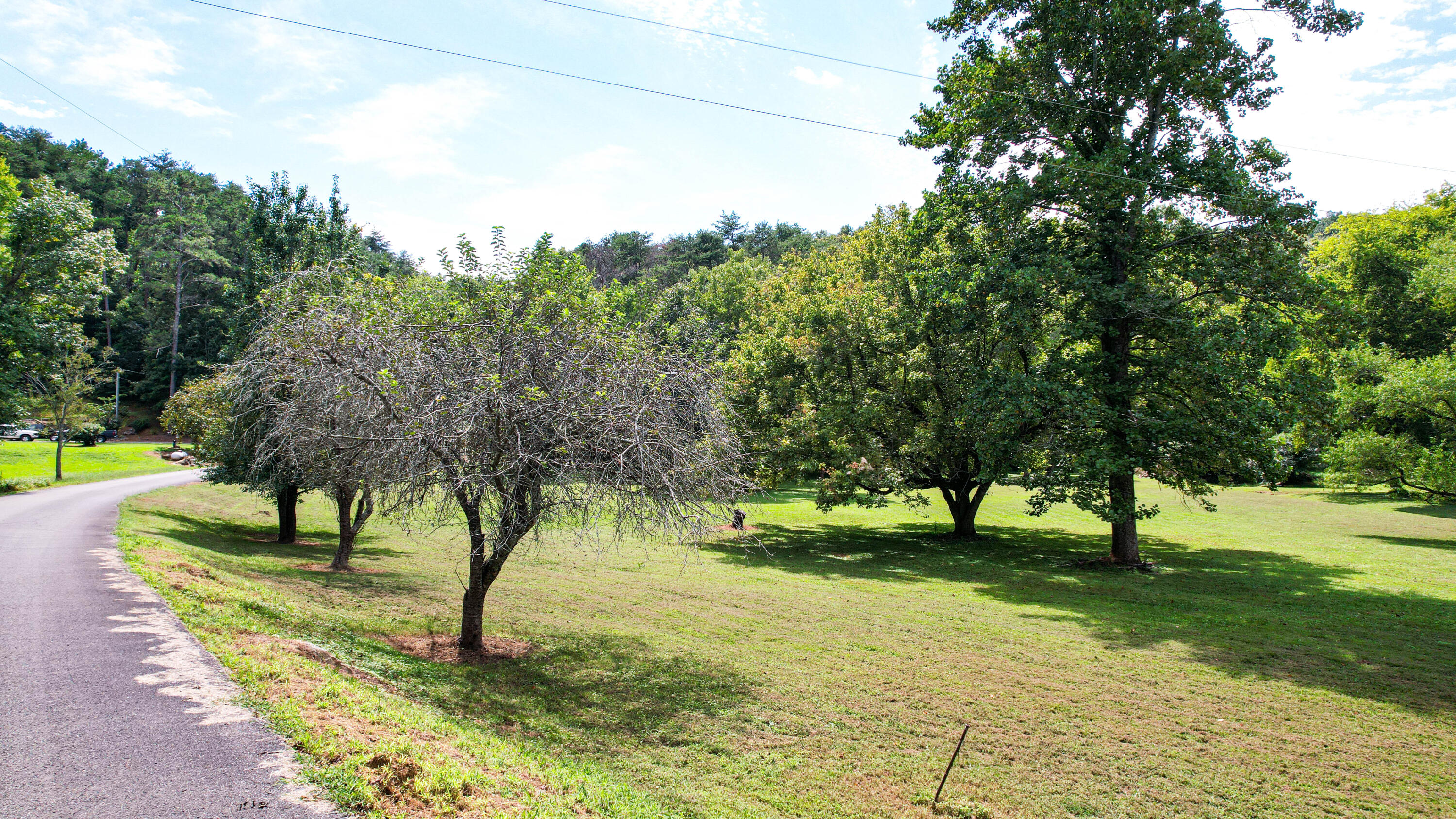 Rising Fawn, Georgia 30738, United States, ,Land,Active,199861