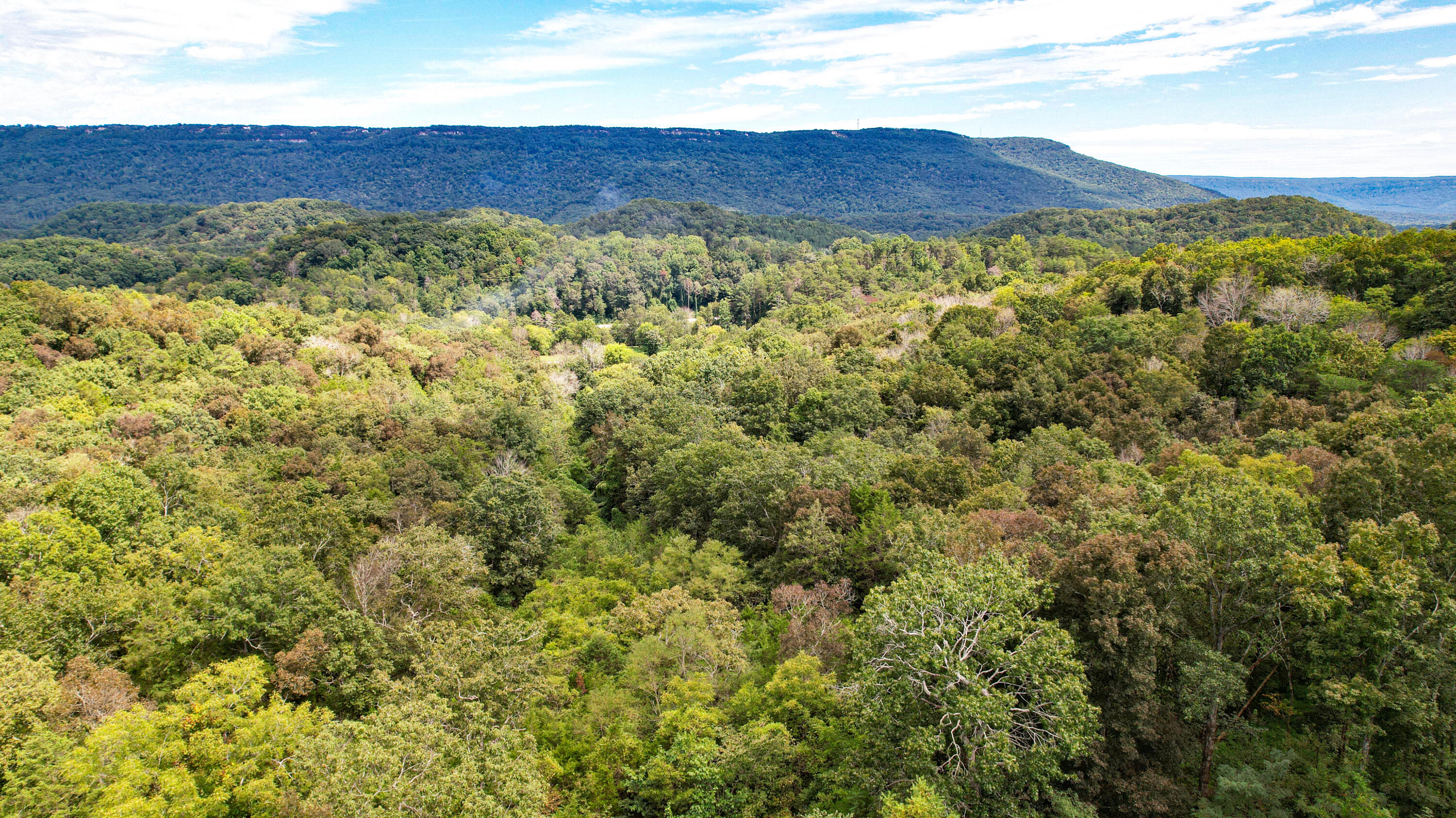 Rising Fawn, Georgia 30738, United States, ,Land,Active,199861