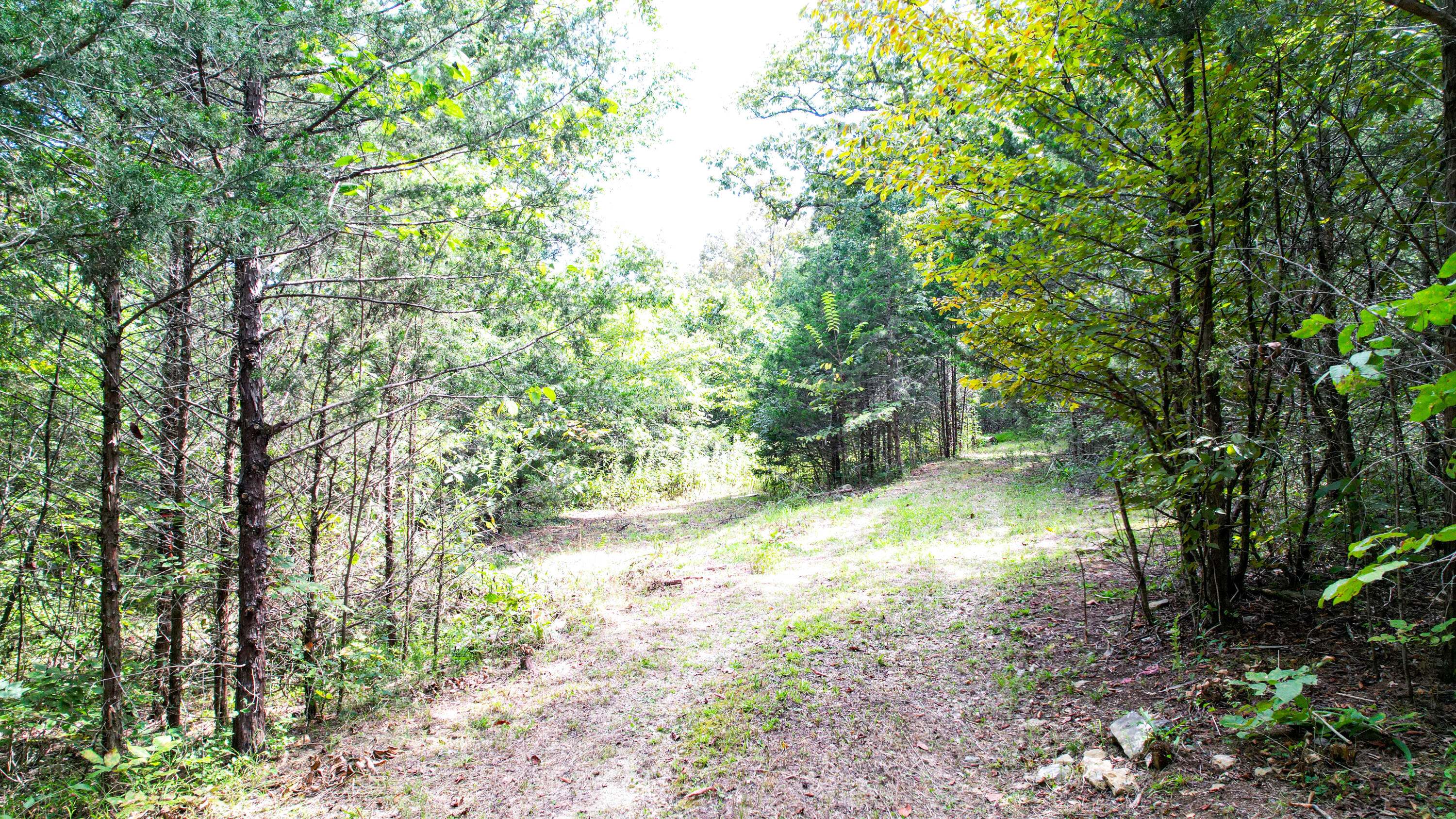 Rising Fawn, Georgia 30738, United States, ,Land,Active,199861