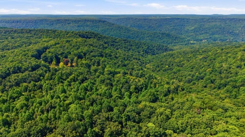Photo of 624 Coyote Trail, Spencer, TN 38585 (MLS # 1544630)