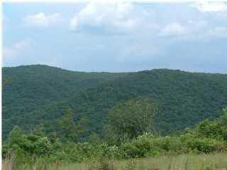 Hunters Trace