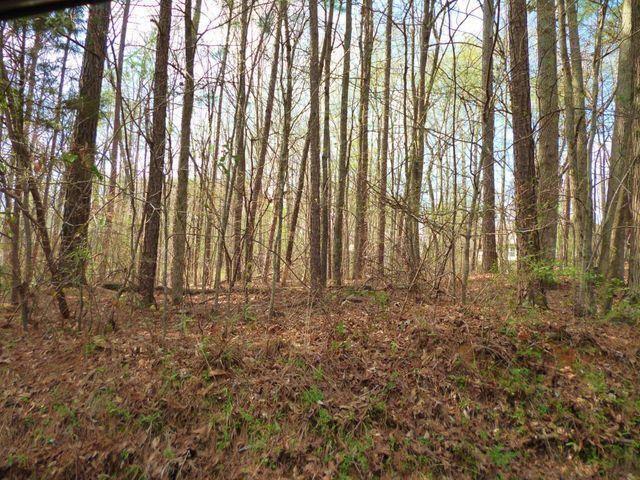 N/A Eldridge Road, Soddy Daisy, Tennessee image 1
