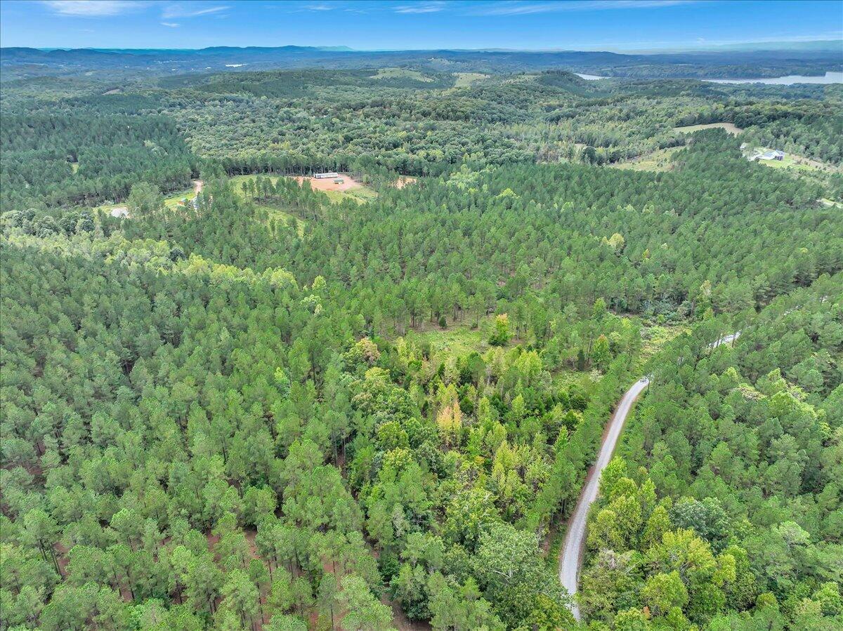 Tract 17 K Armstrong Ferry Road, Decatur, Tennessee image 4