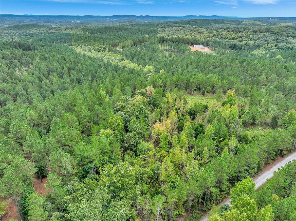 Tract 17 K Armstrong Ferry Road, Decatur, Tennessee image 3