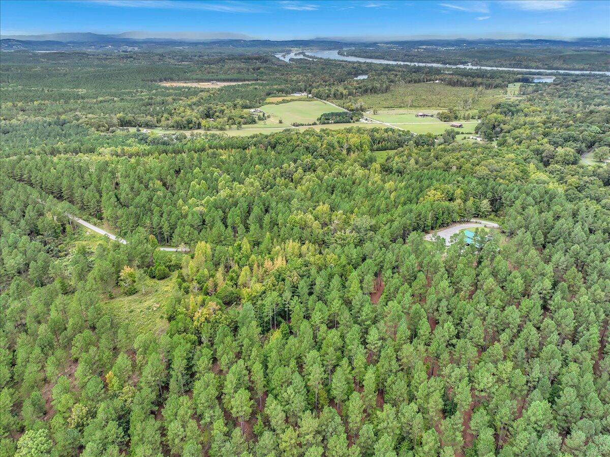 Tract 17 K Armstrong Ferry Road, Decatur, Tennessee image 6