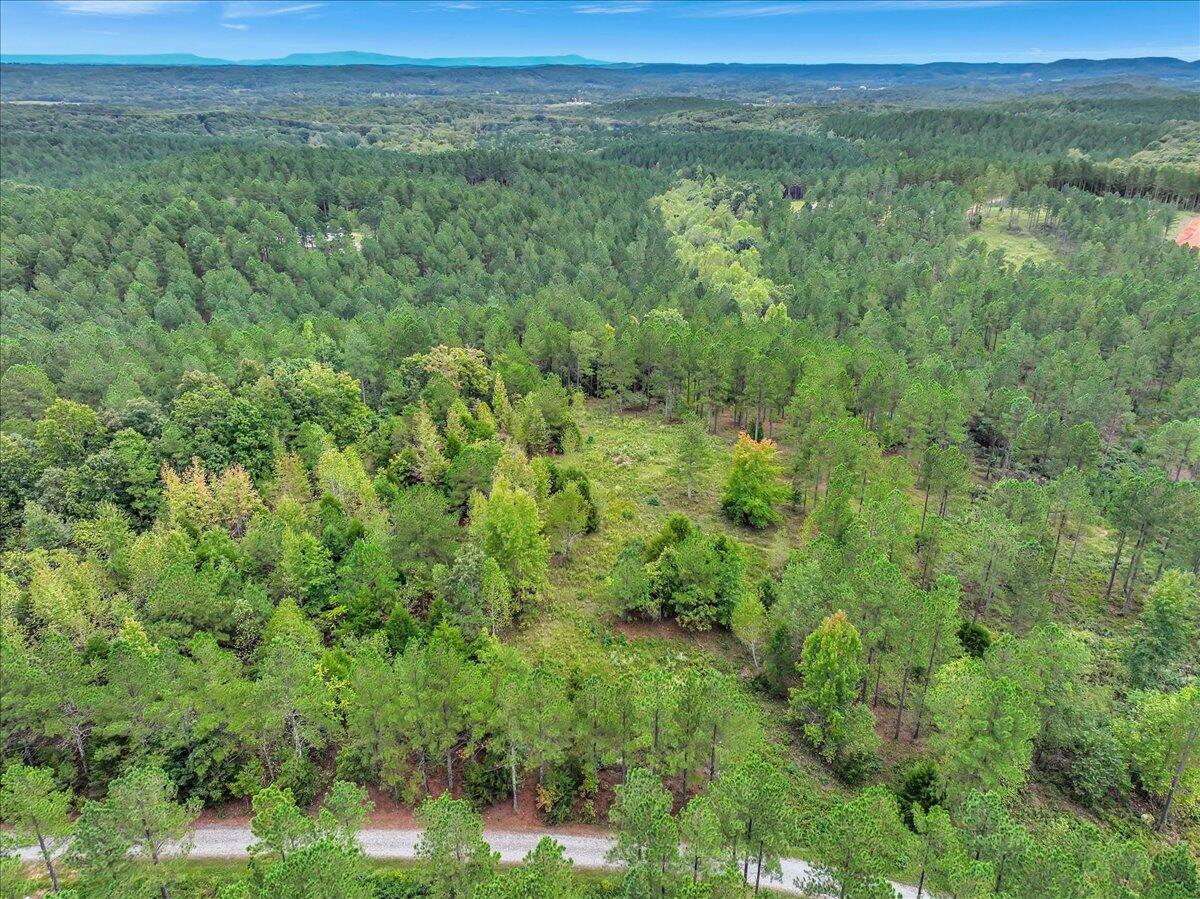Tract 17 K Armstrong Ferry Road, Decatur, Tennessee image 2