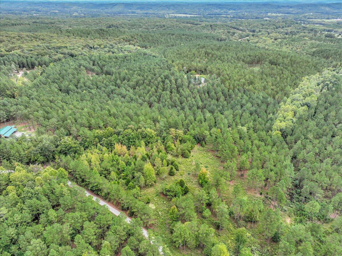 Tract 17 K Armstrong Ferry Road, Decatur, Tennessee image 9