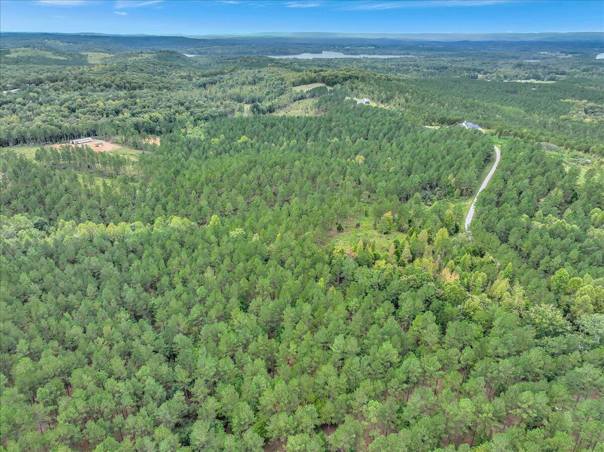 Tract 17 K Armstrong Ferry Road, Decatur, Tennessee image 5