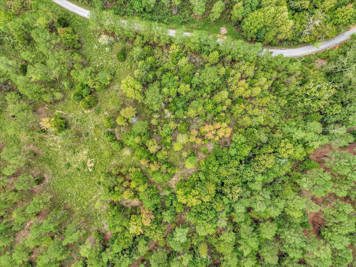 Tract 17 K Armstrong Ferry Road, Decatur, Tennessee image 8