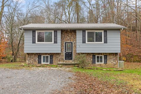 Photo of 321 Thacker Lane, Etowah, TN 37331 (MLS # 1528645)