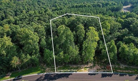 Photo of 0 Whiskey Way, Jasper, TN 37347 (MLS # 1532142)