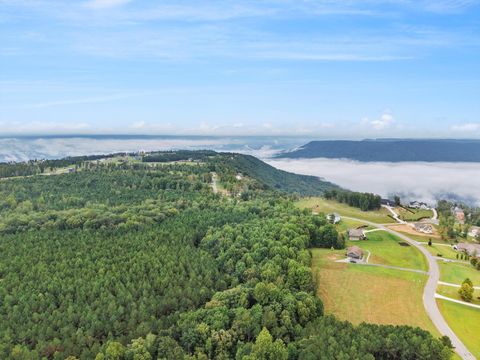 Photo of 0 Raulston Falls Road, Jasper, TN 37347 (MLS # 1521304)